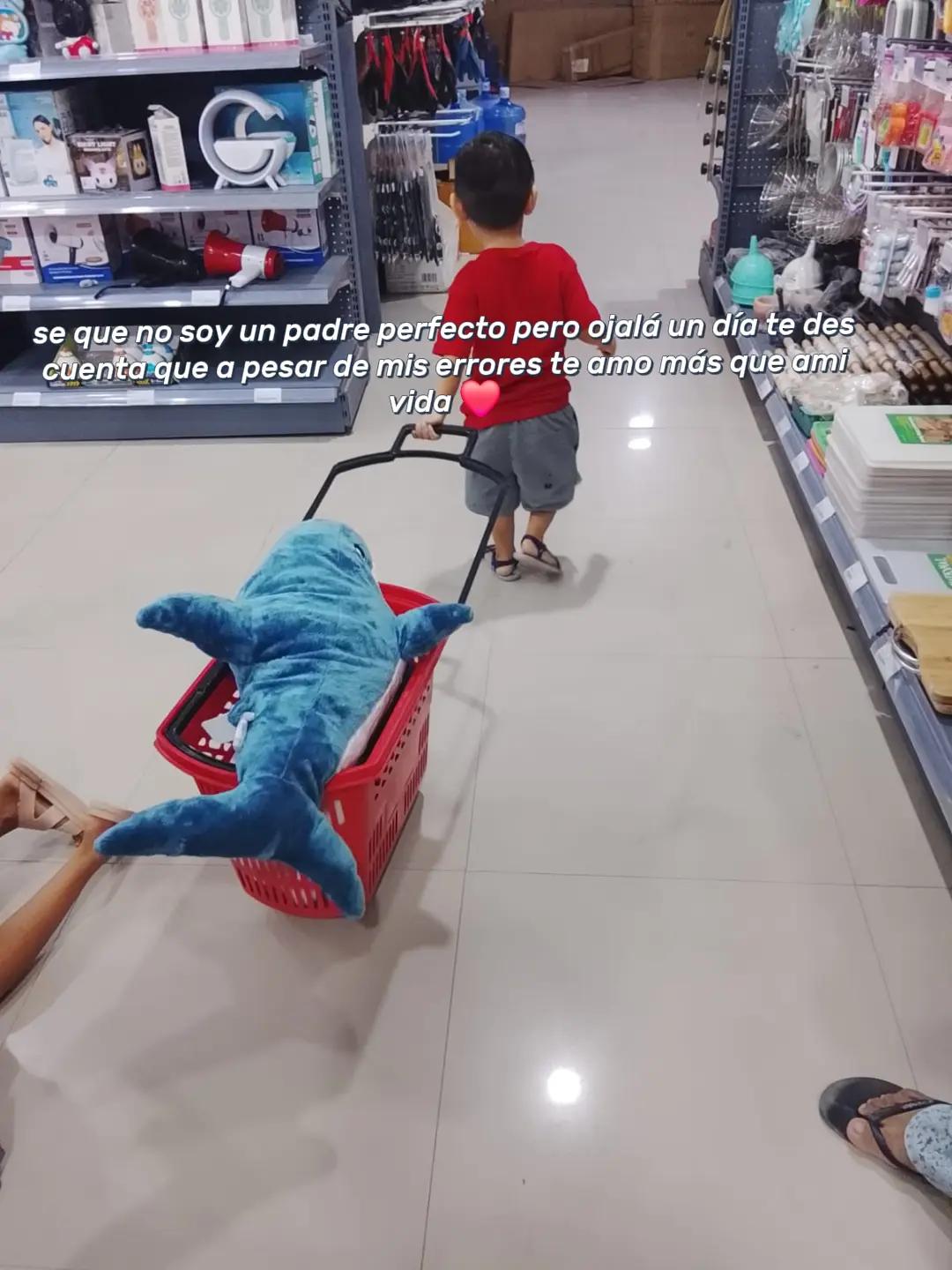 @Alexis castro08
