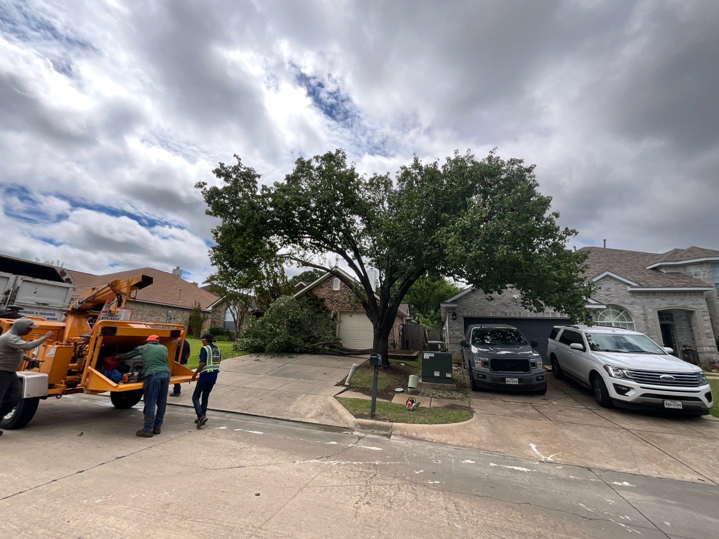 @Live Oak Tree Service