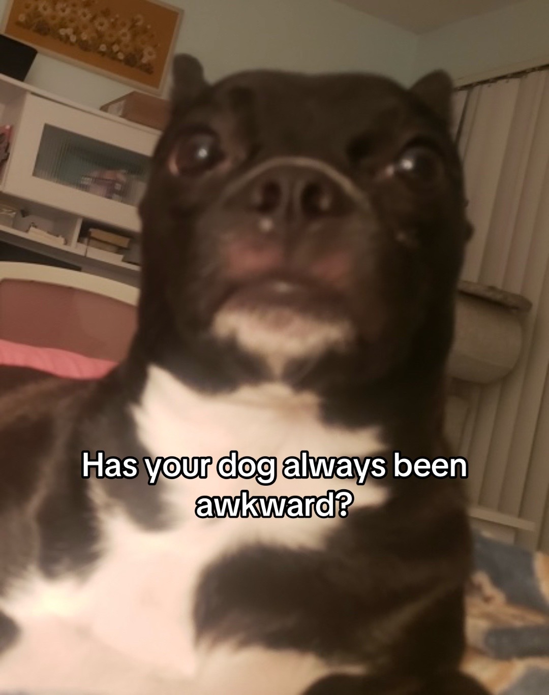 @notmarystiktok