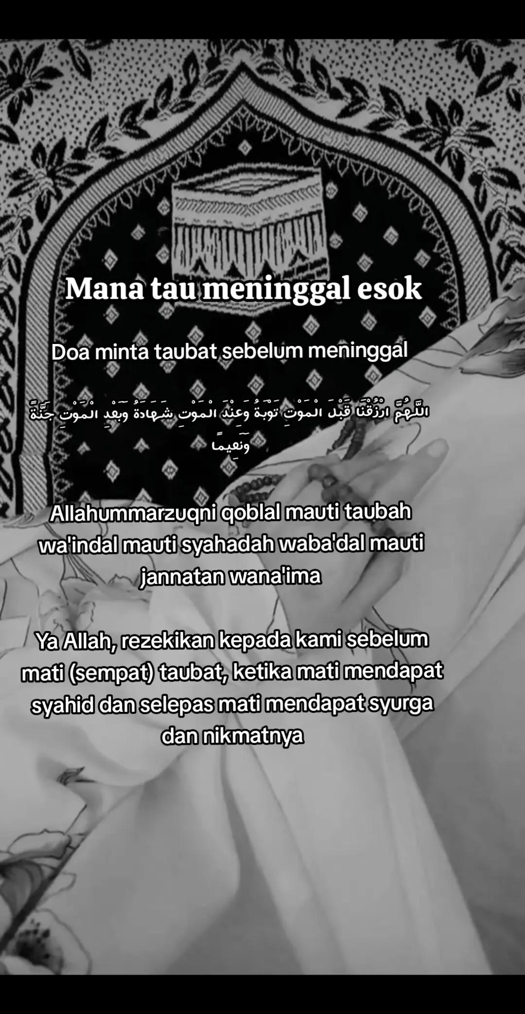 @✨️🕊