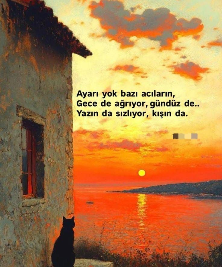 @💗💗  Beyaz kuğuuu 💗💗