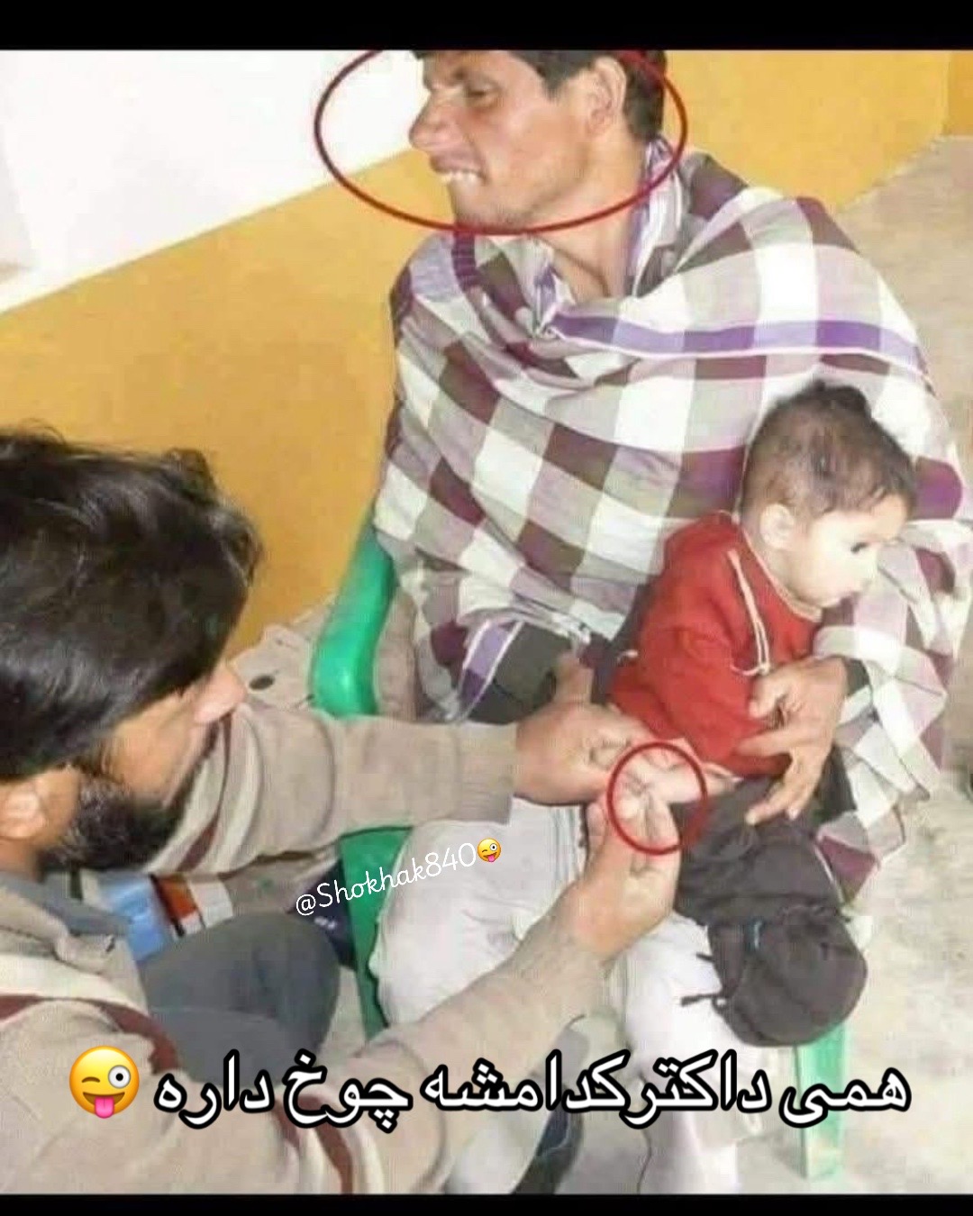 @شوخک Shokhak