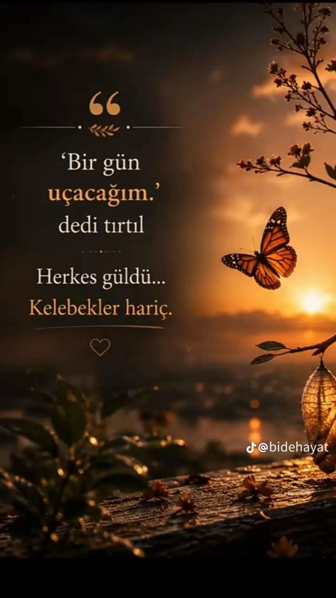 @🐞LâMaZi🐞