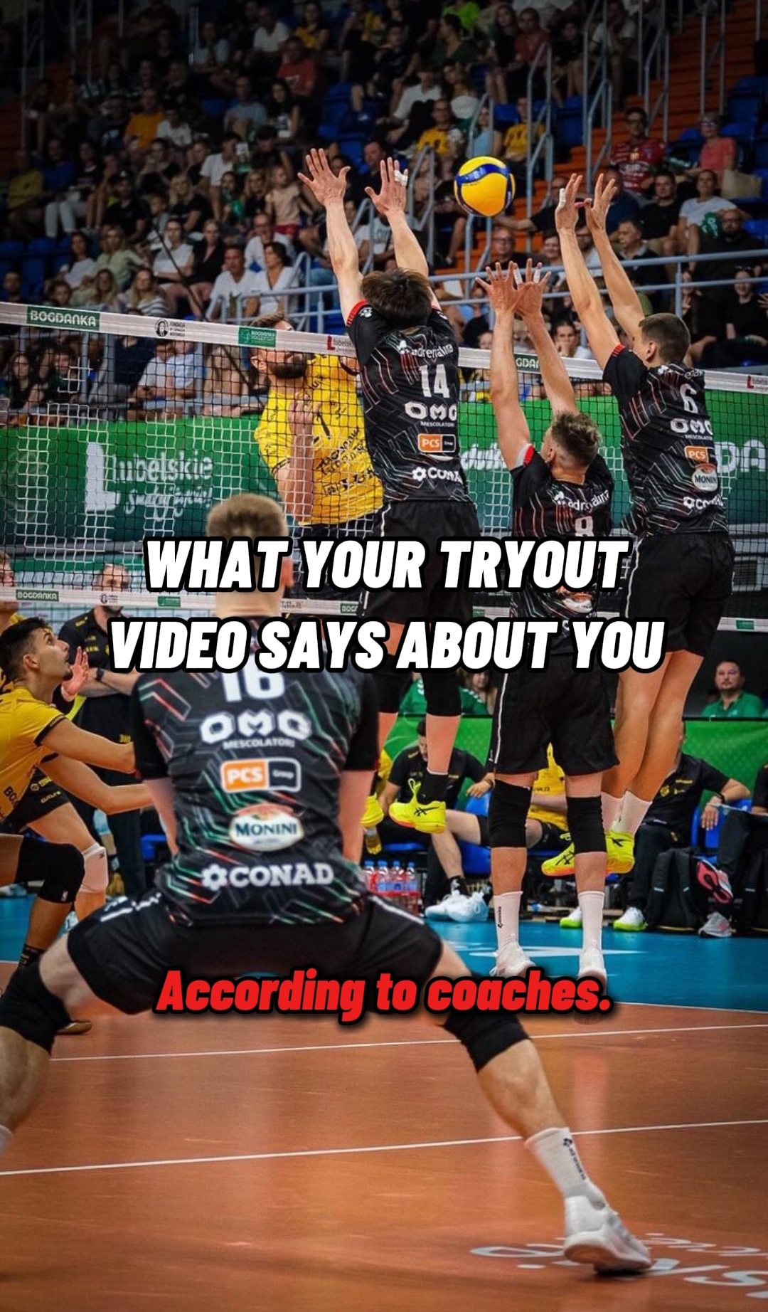@SportySpectra