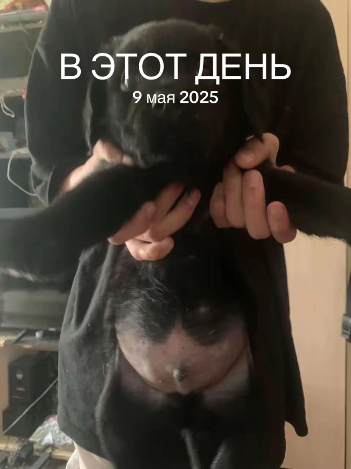@kiryshha