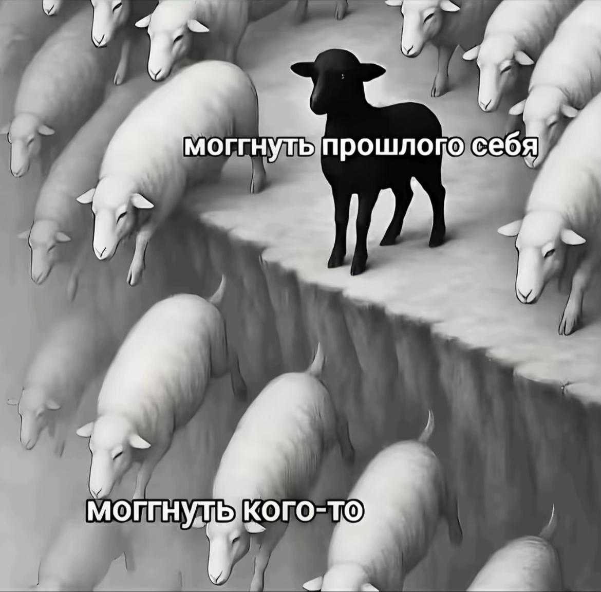 @razeaccount