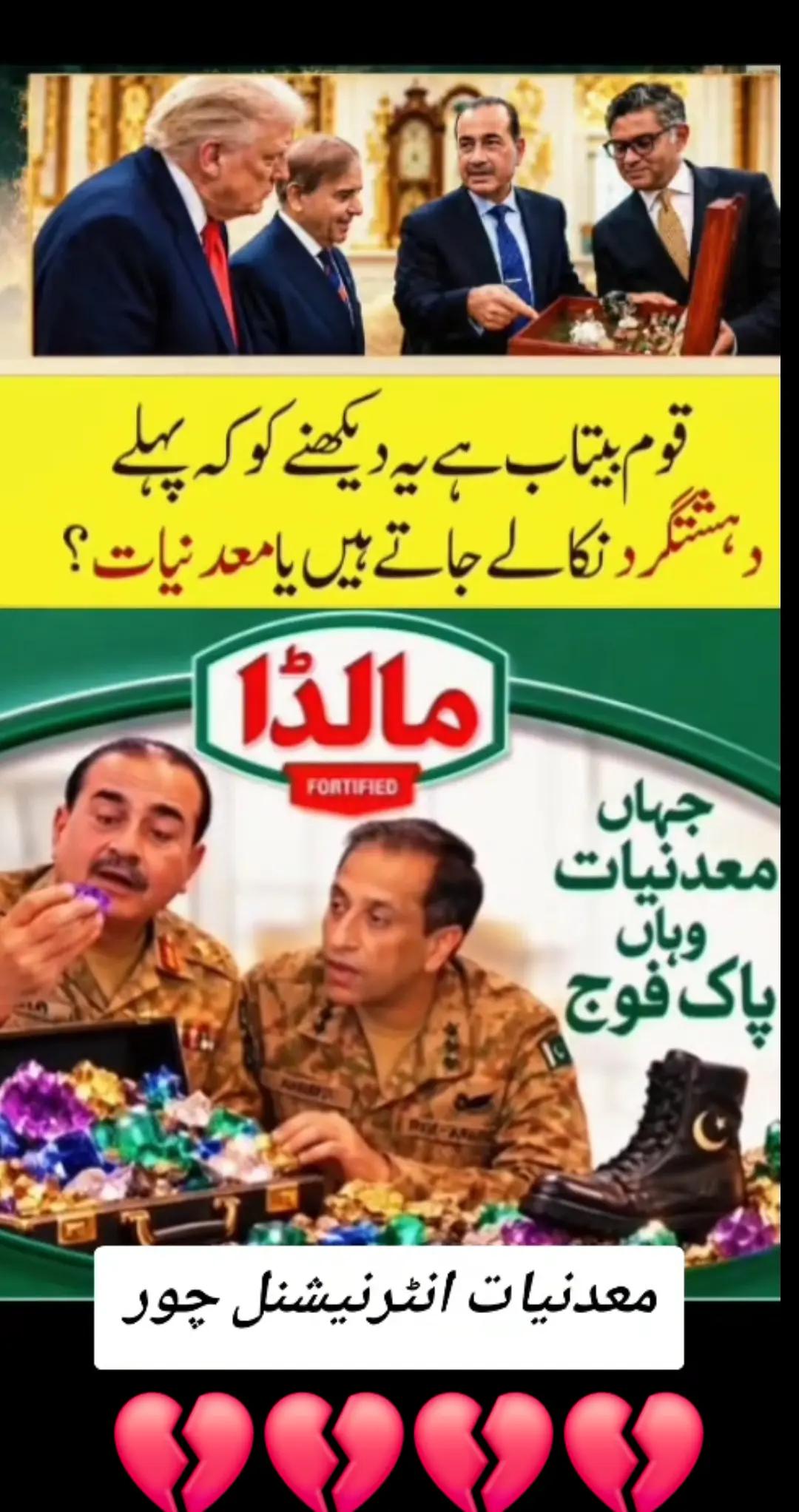 @اڈیالہ 804
