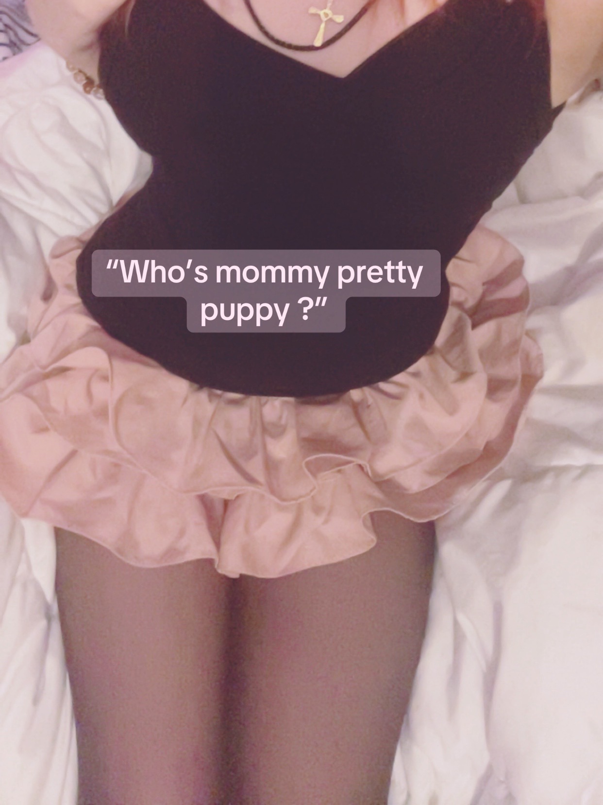 @Puppy (₊˚🦴🪽⋆˚꩜)