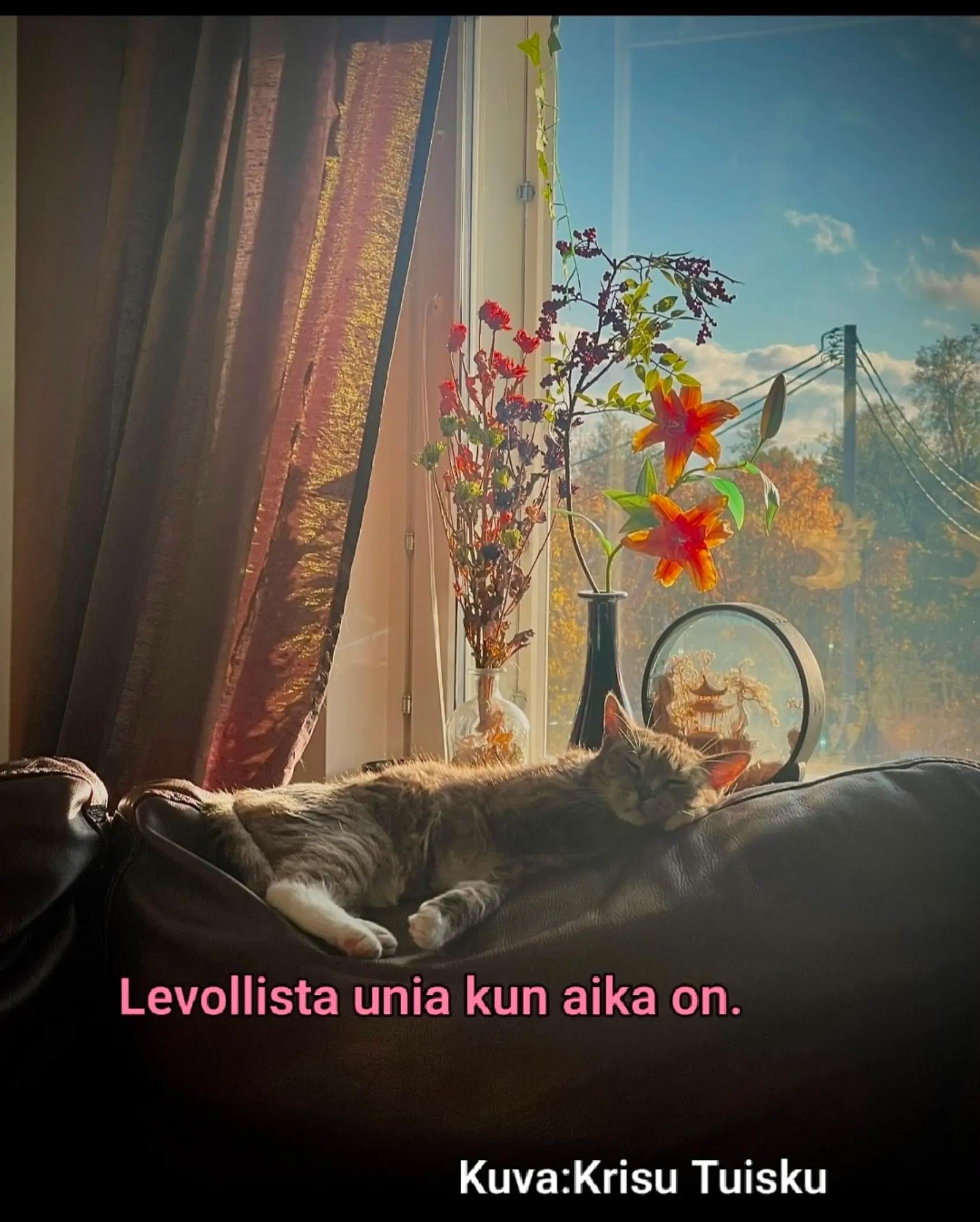@PilviLumi