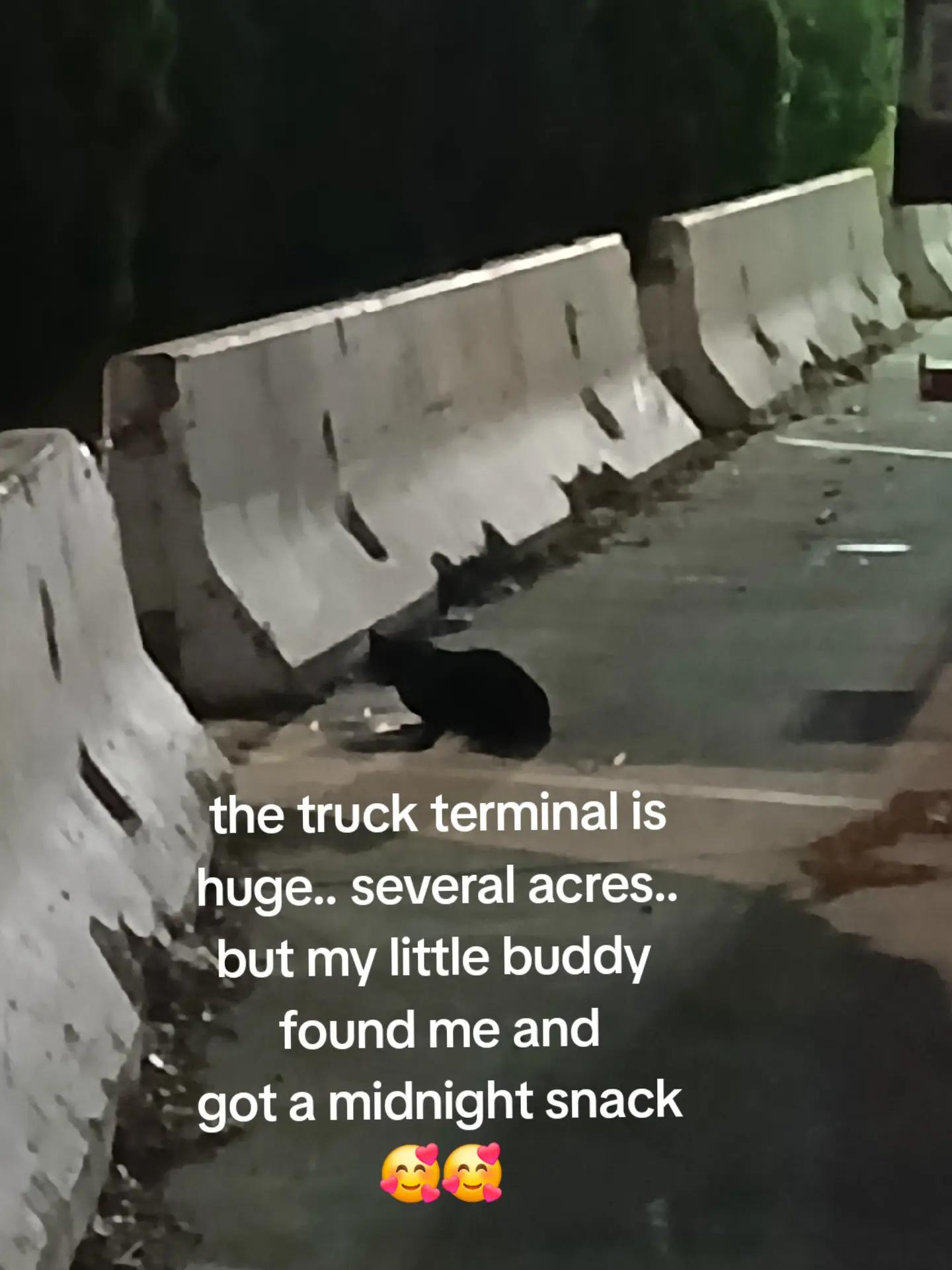 @trucker John