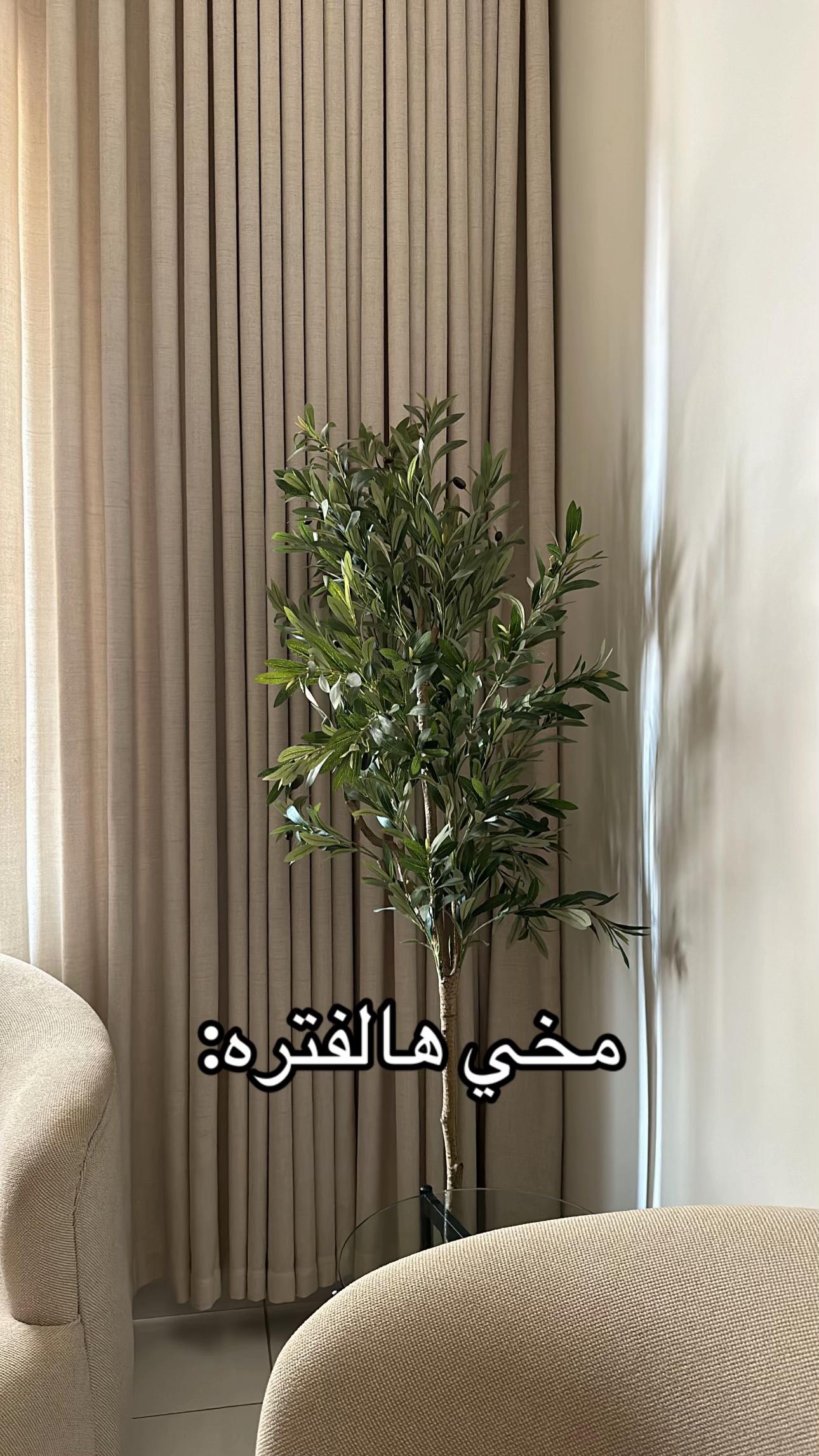 @amnah y.🤎
