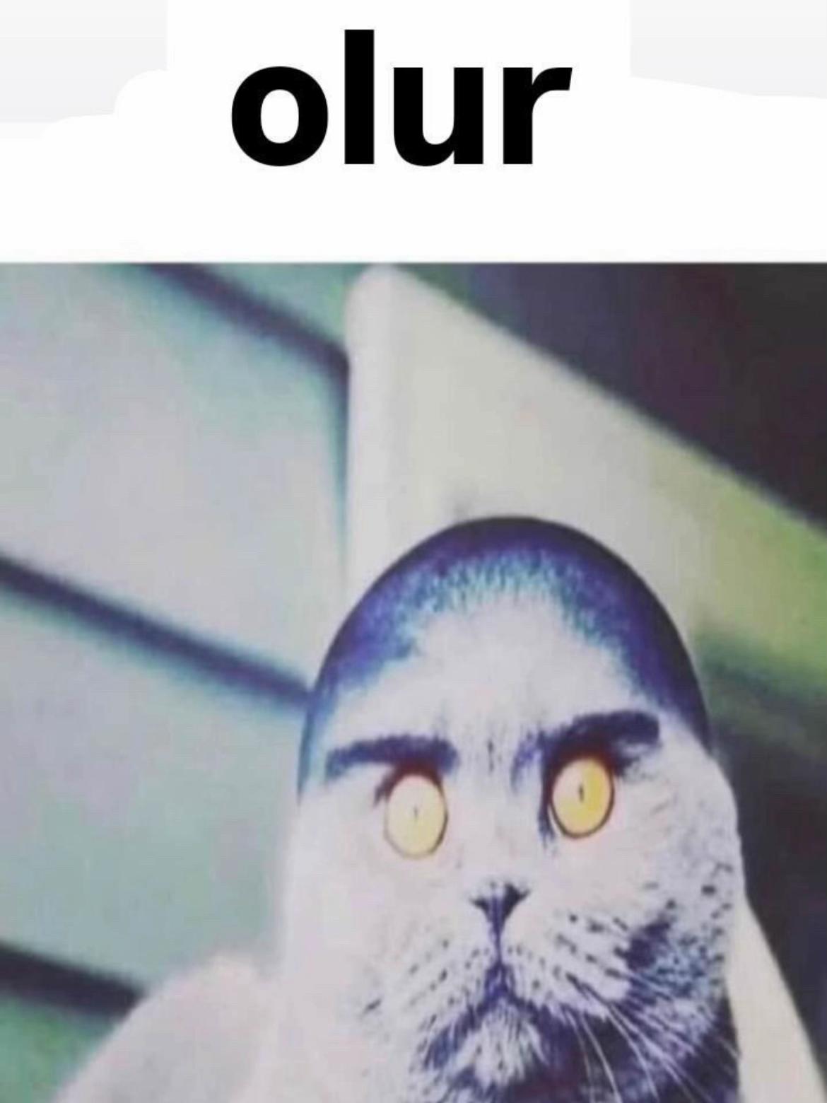 @hastasıyız dede