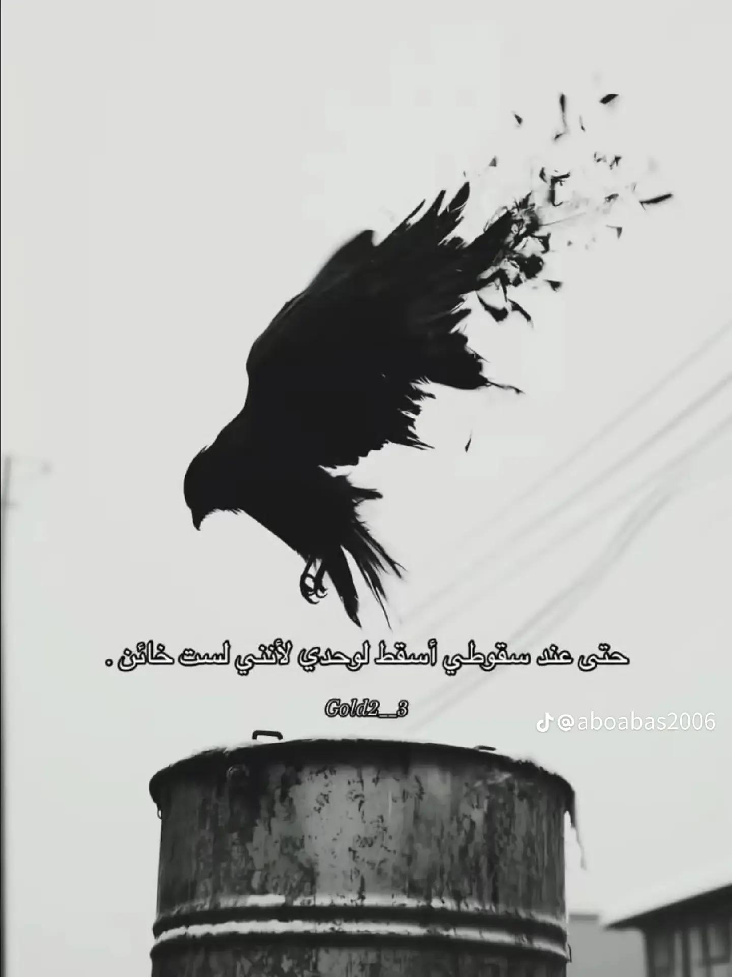 @احـمـد ابـو خـالـد 🐺❤️