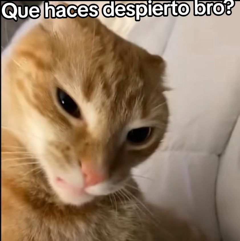 @Cheems_Waos &diams;✷&diams;