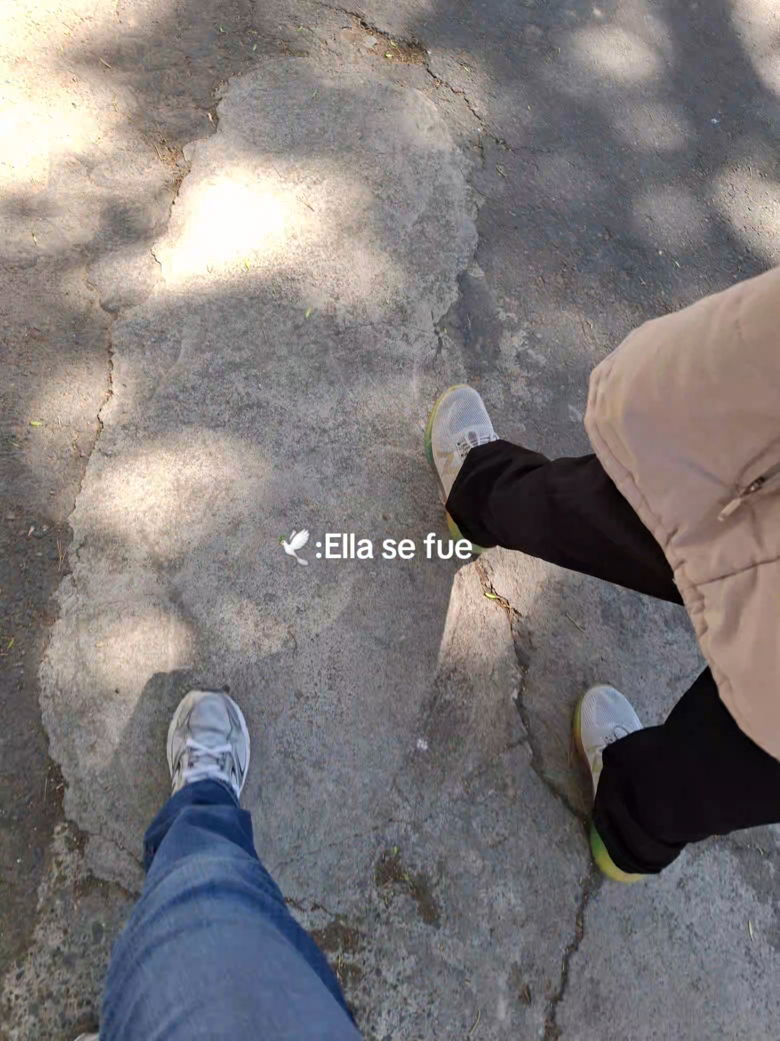 @𝙑 aleria🤎🧸