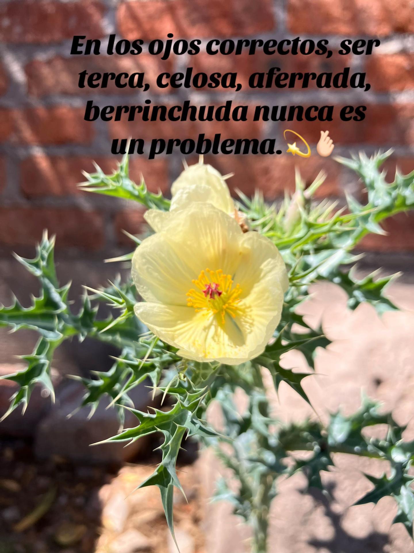 @rubirivera1608