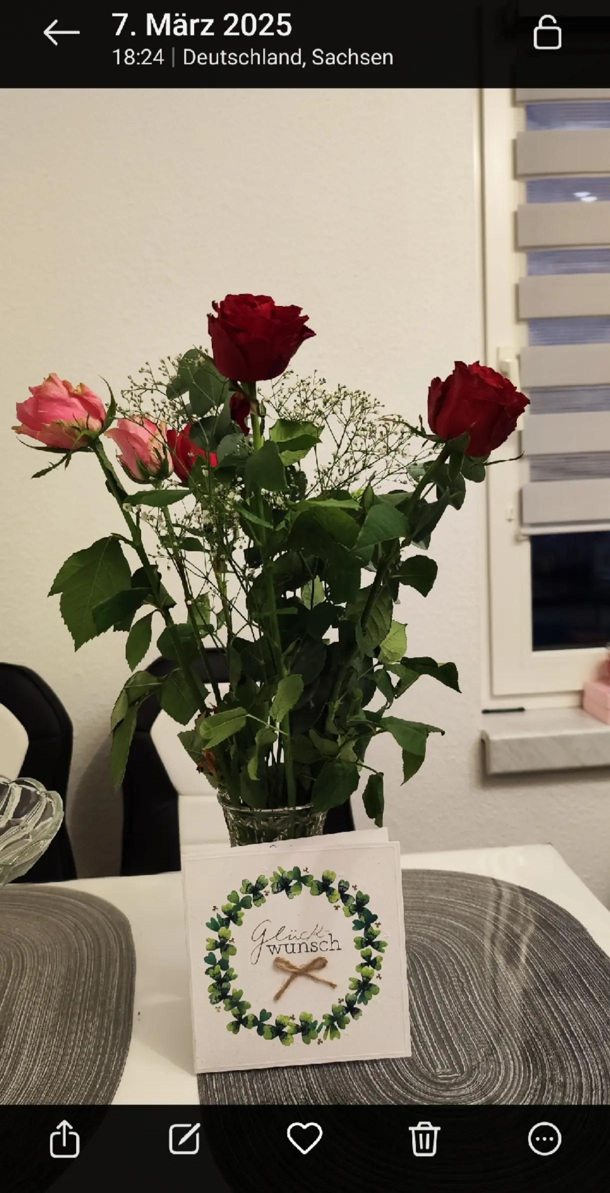 @grunate81@mail.ru