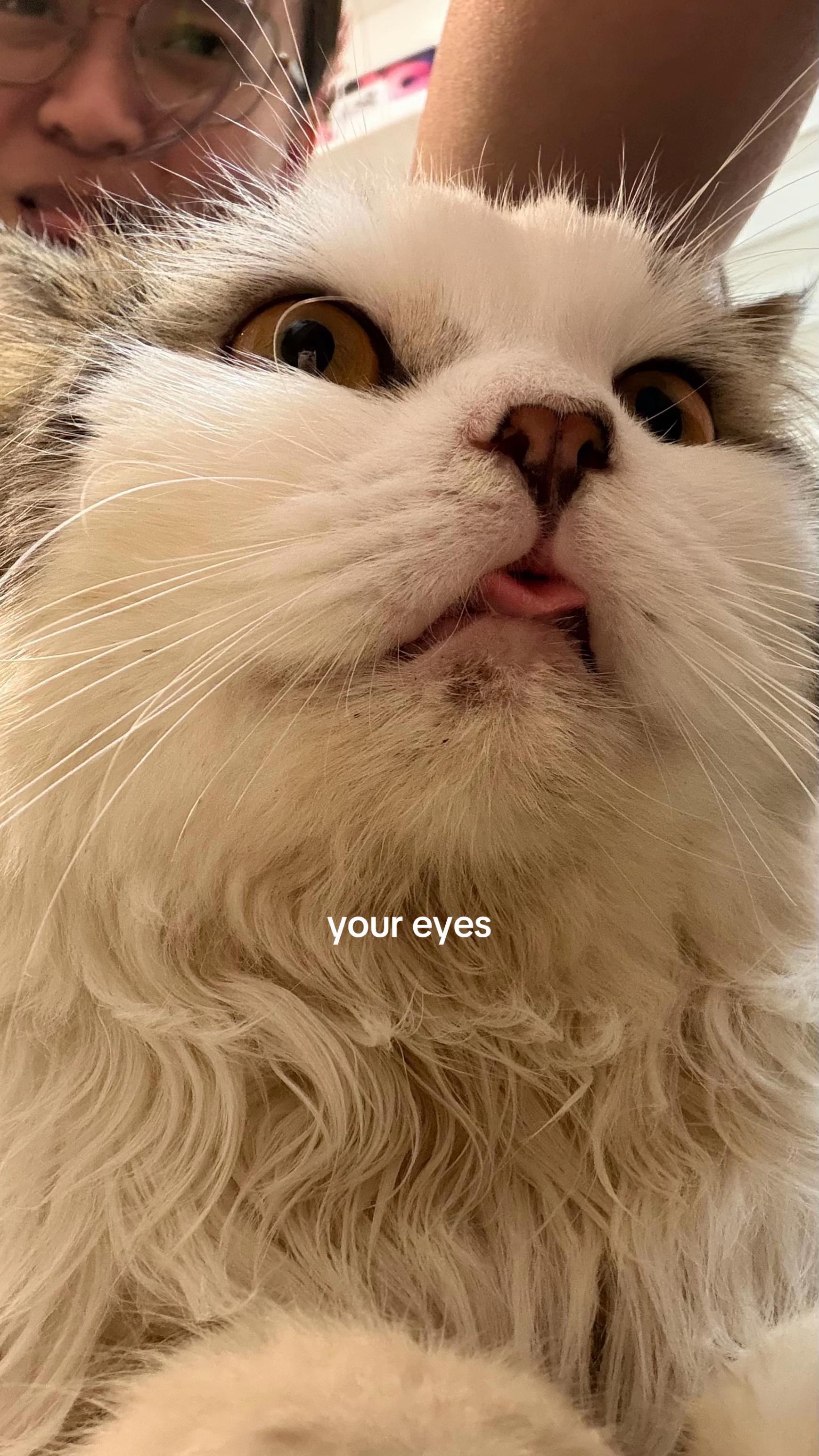 @gabyelanna ๐