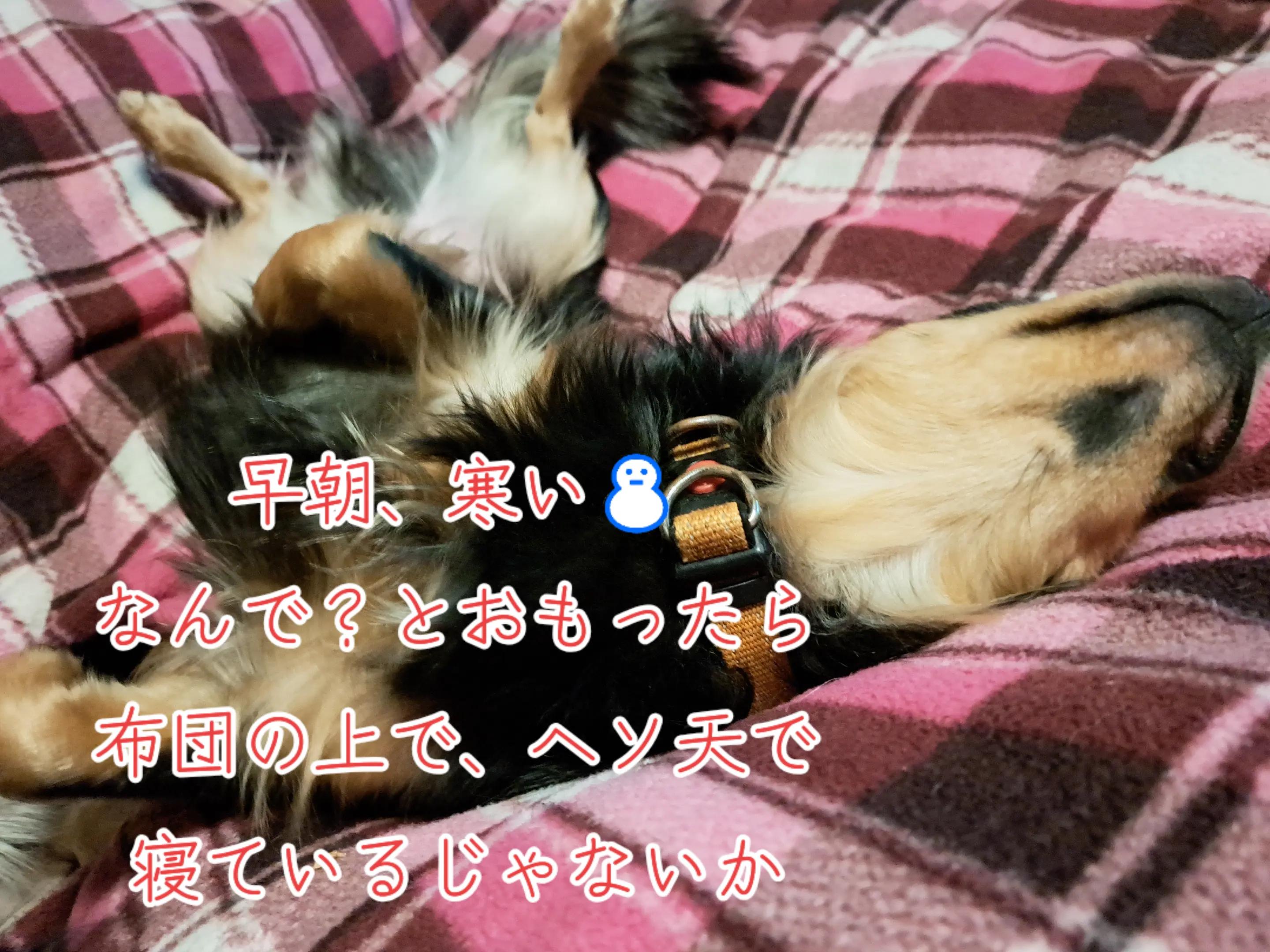 @タケヤッコ