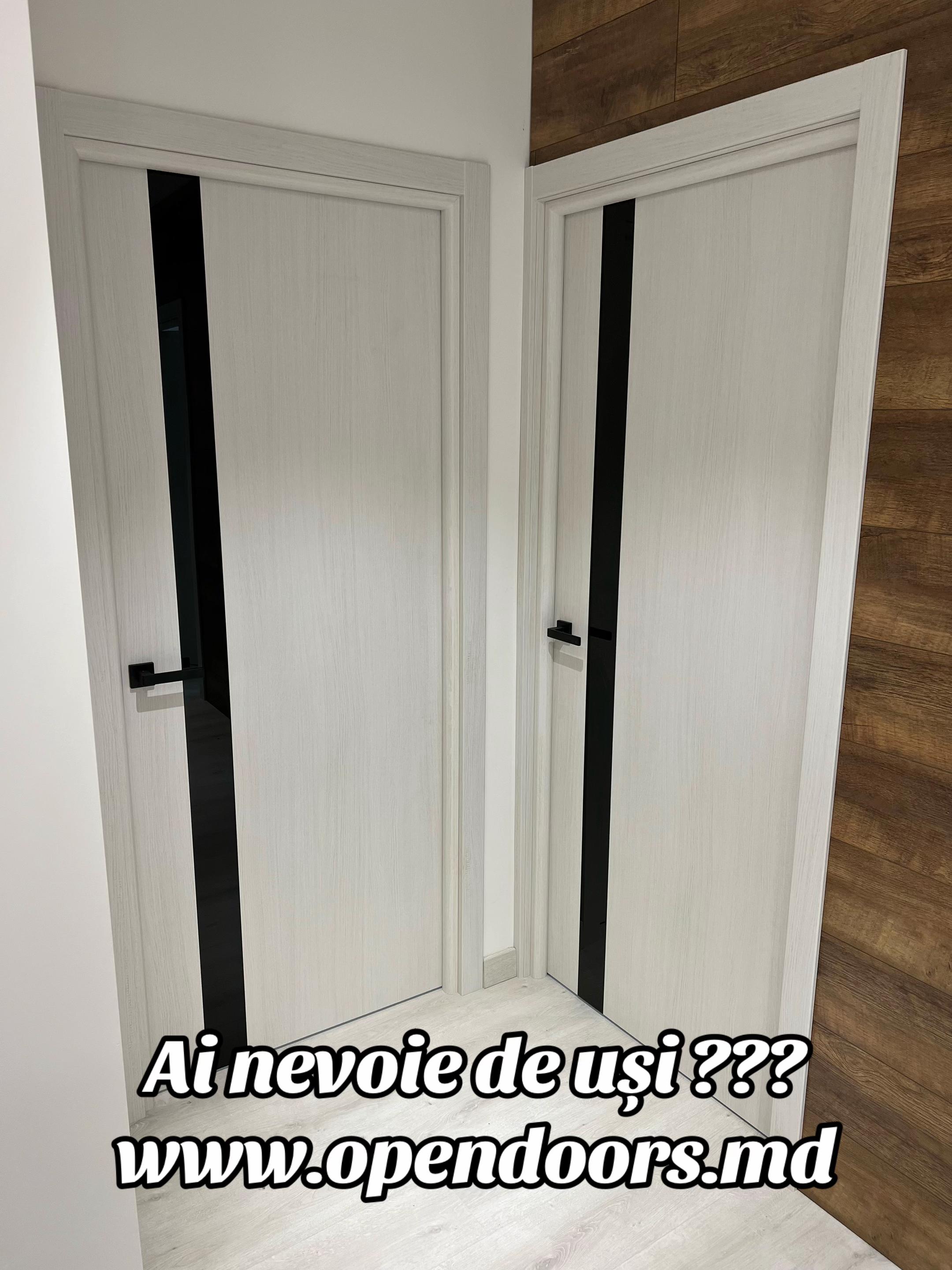 @usi.opendoors.md