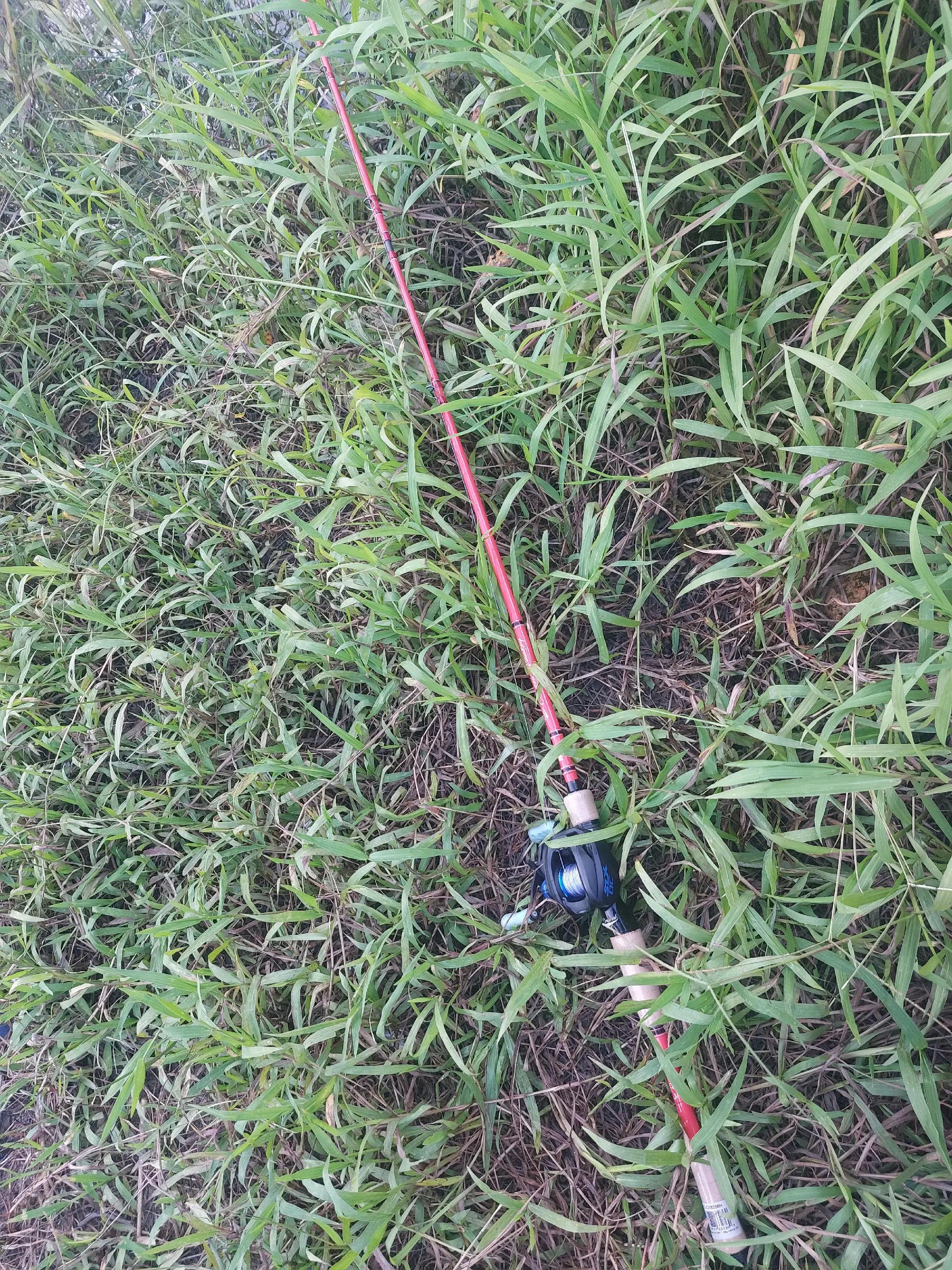 @TungFishing