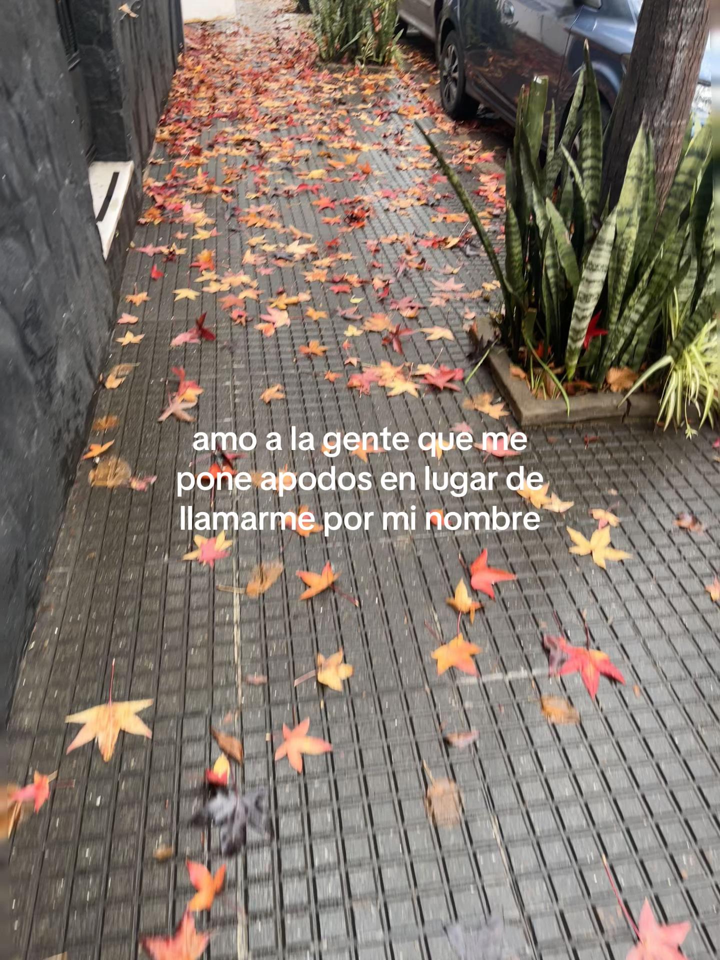 @anto