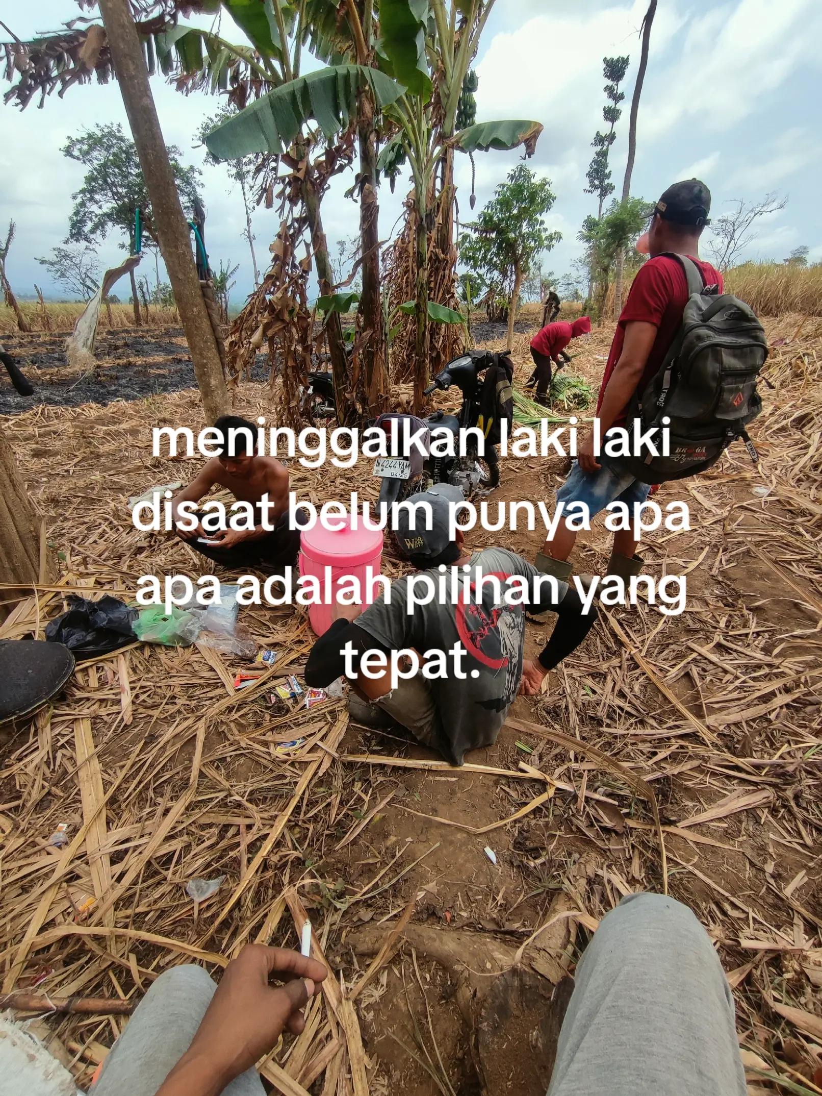 @𝙈𝘼𝙎 𝙒𝙄𝙅𝘼𝙔𝘼 👻