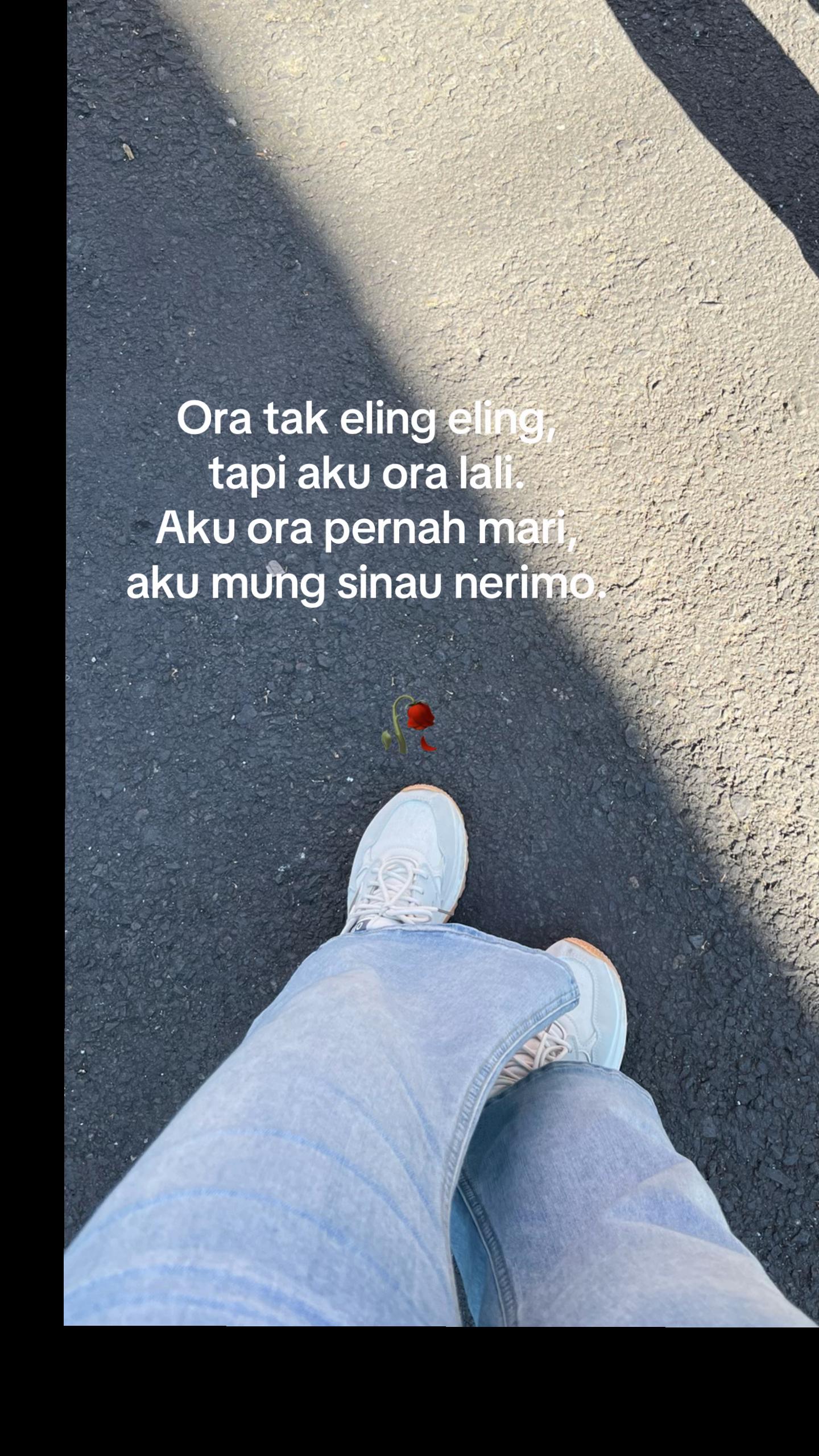 @SulisRe