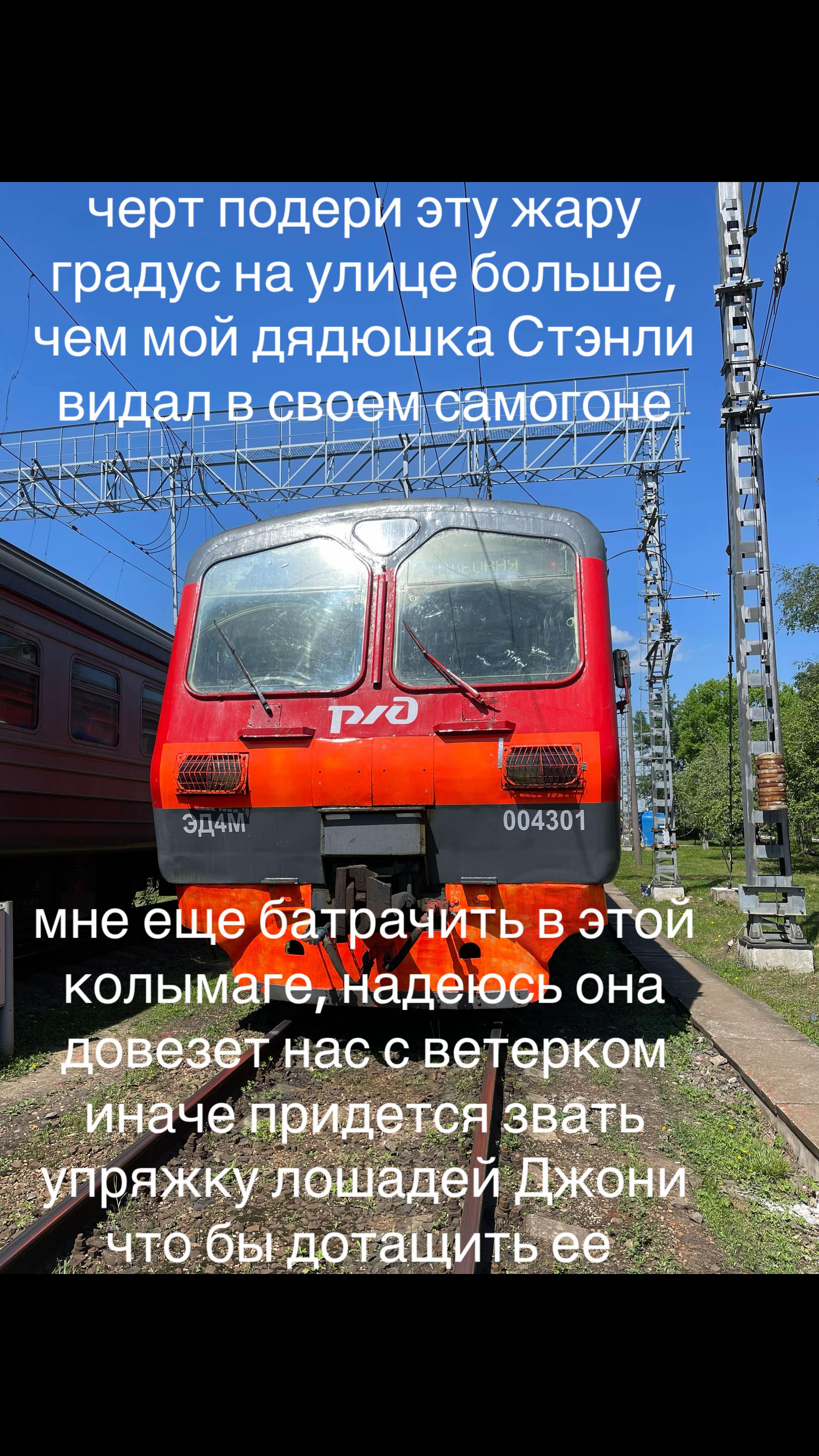 @VOROBEY2019
