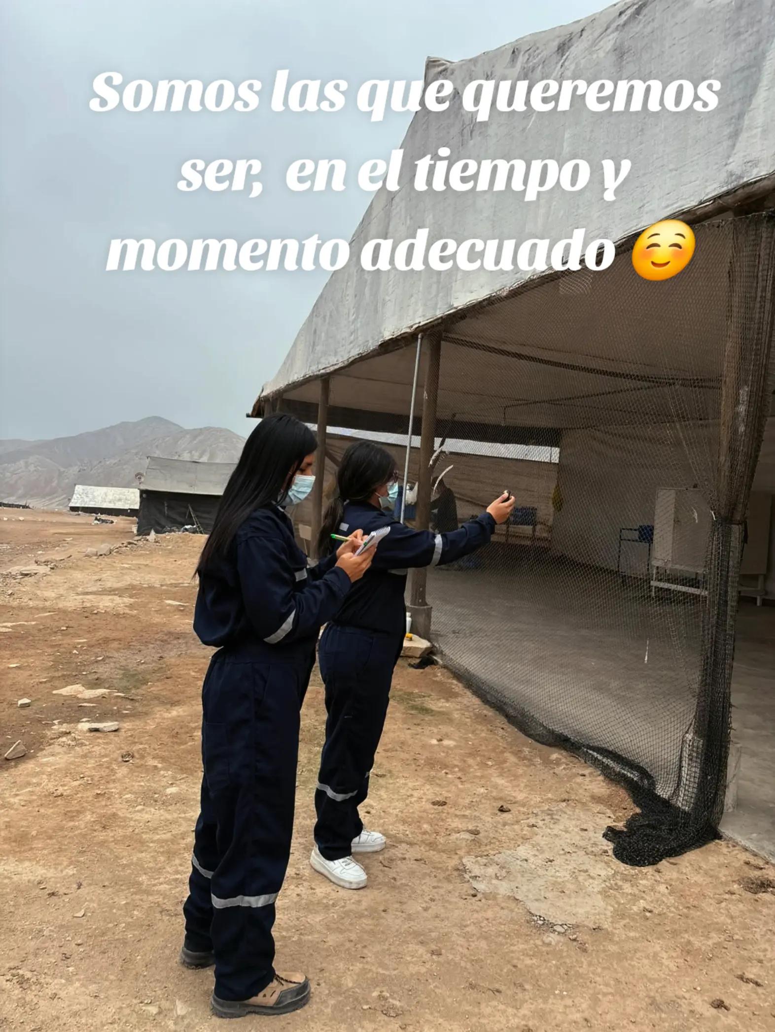@YOM1234