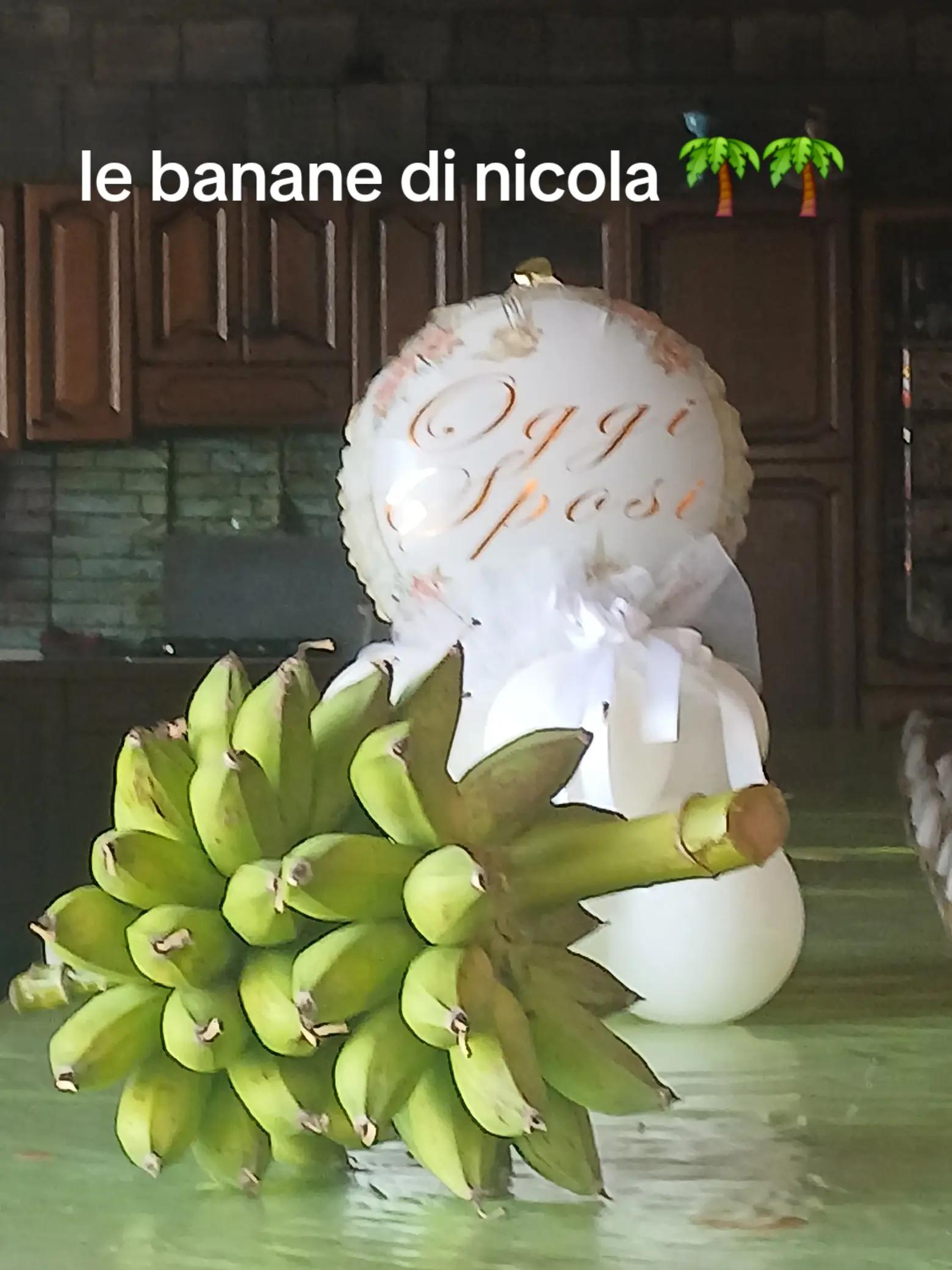 @Nicola Pasqualino( sanzuni)
