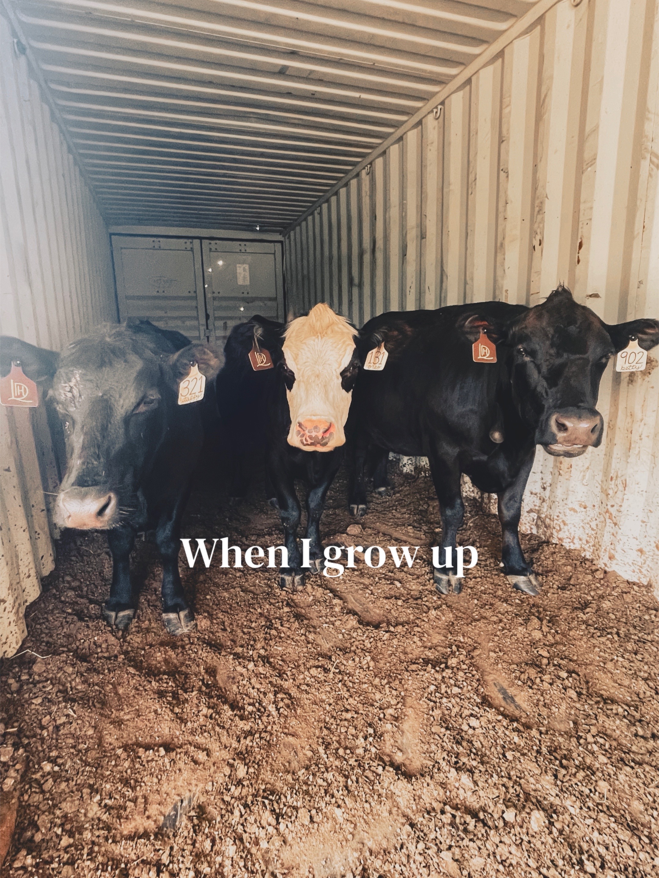 @Sami • LDH Farmstead