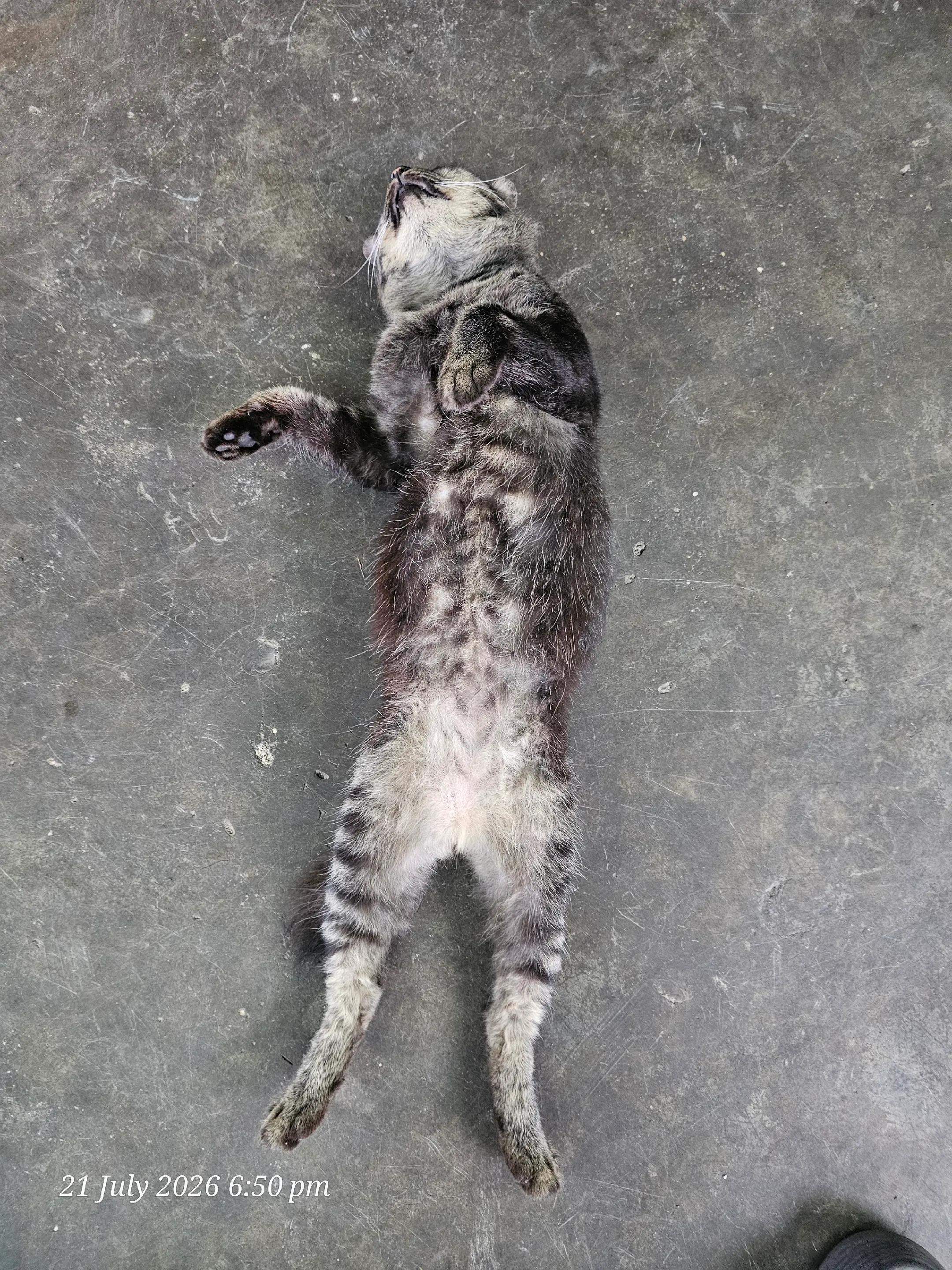 @AyuMasayu Kalamudin