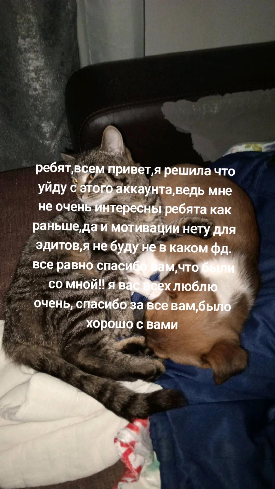 @акинатор