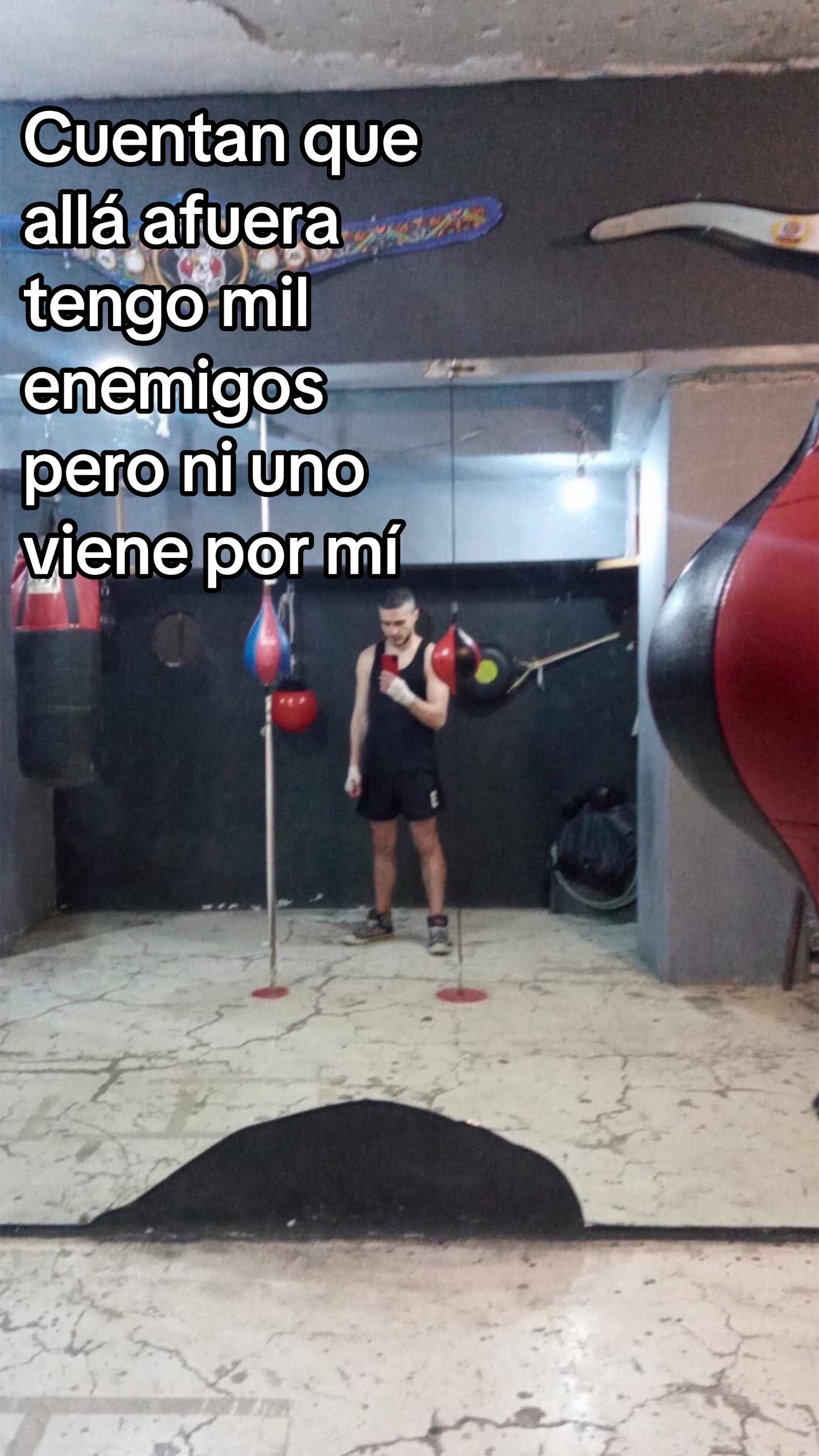 @Pato Fox 🦆🦊