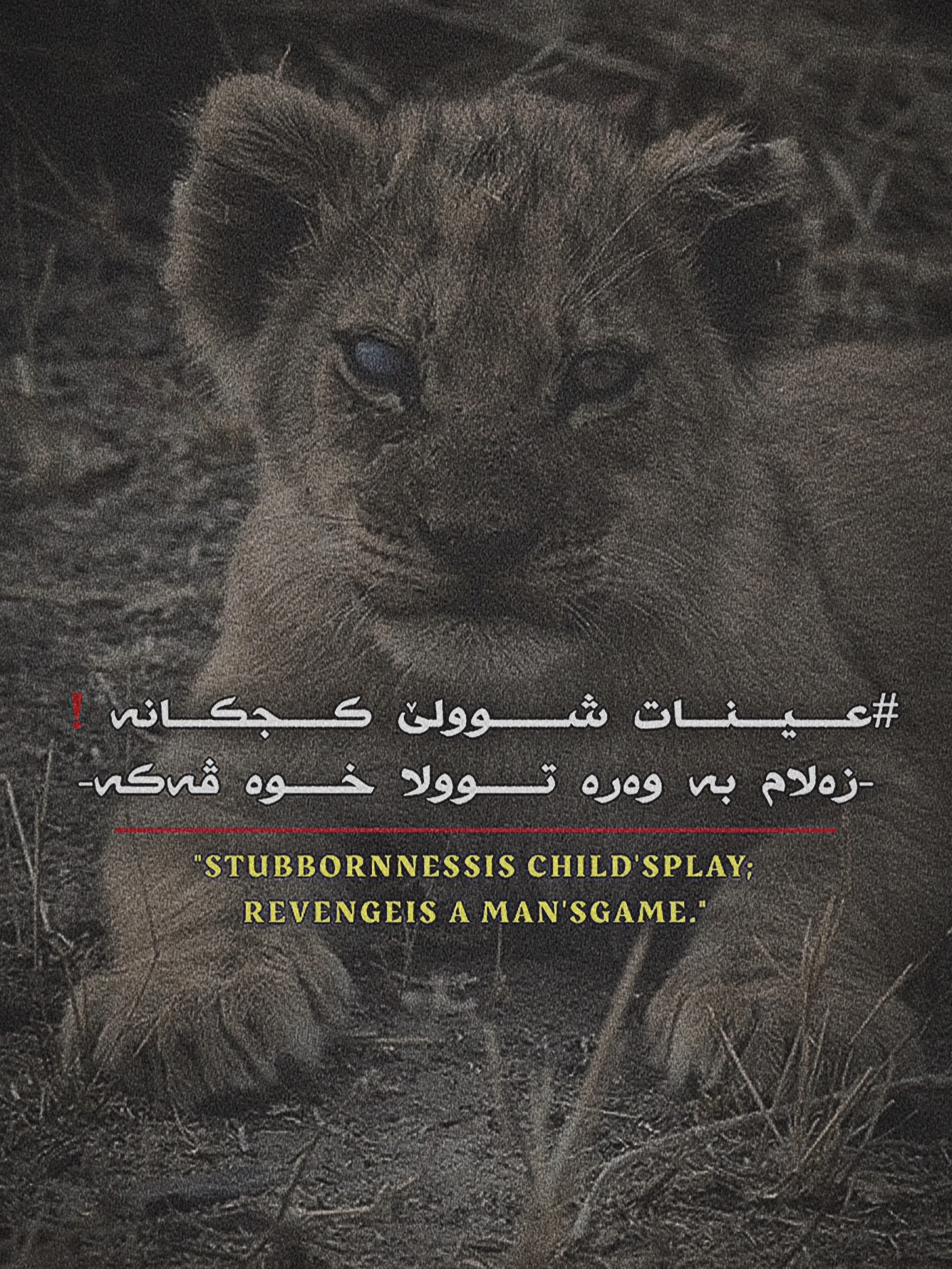 @᷂فــەرو𝘑𝘈𝘕𝘎𝘈𝘞𝘈𝘙