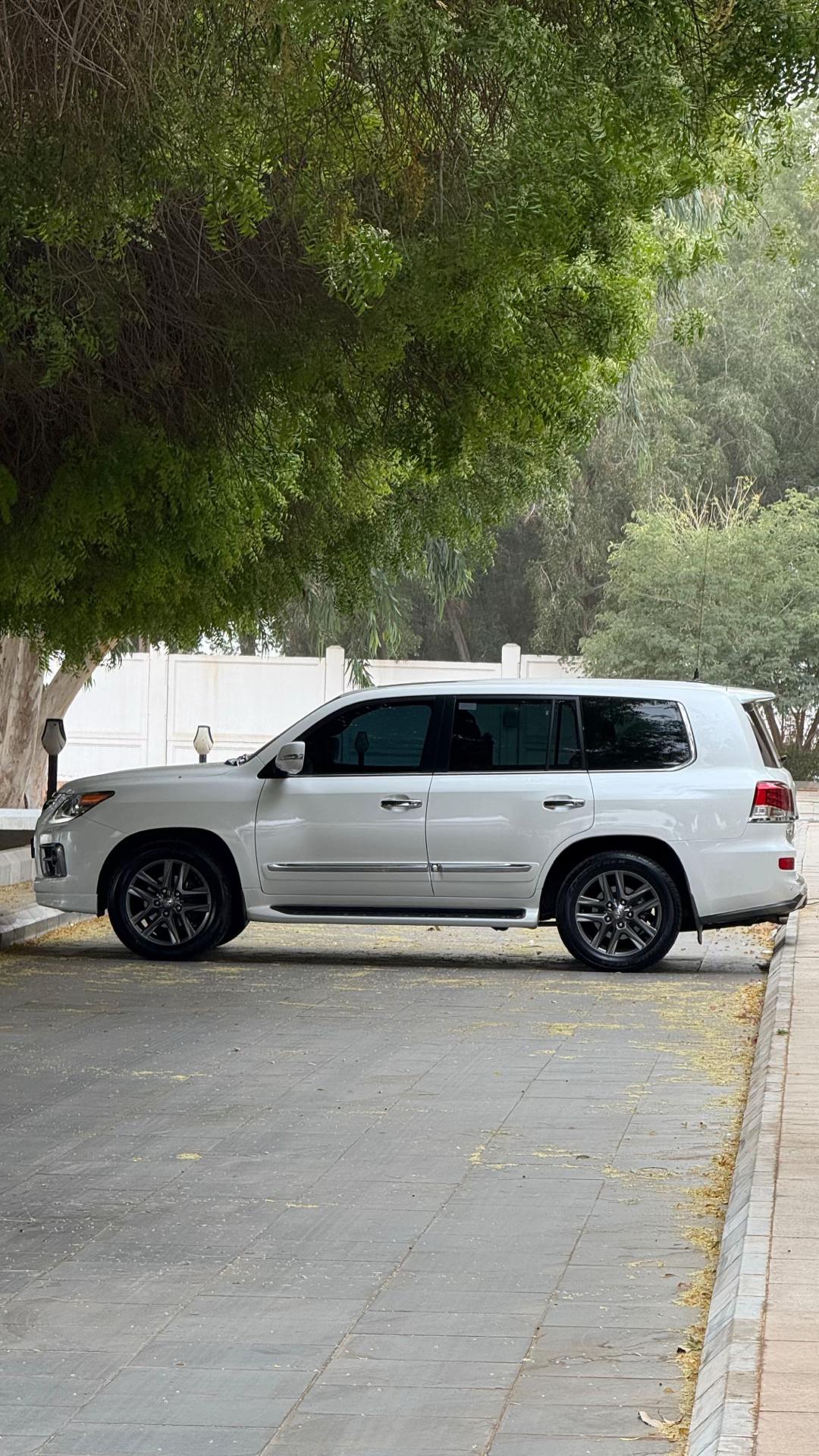 @Khalil albalawi