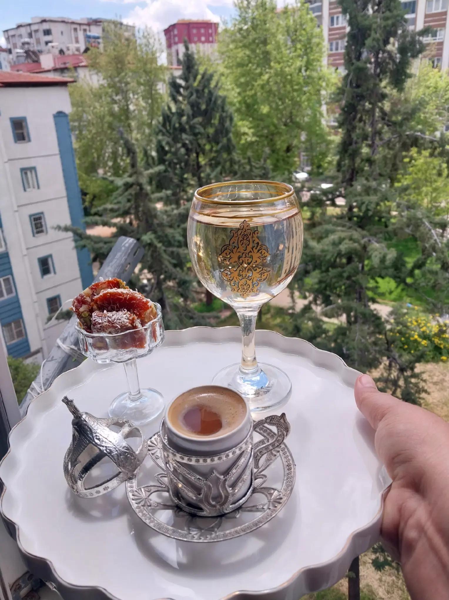 @Hatice Gundogdu