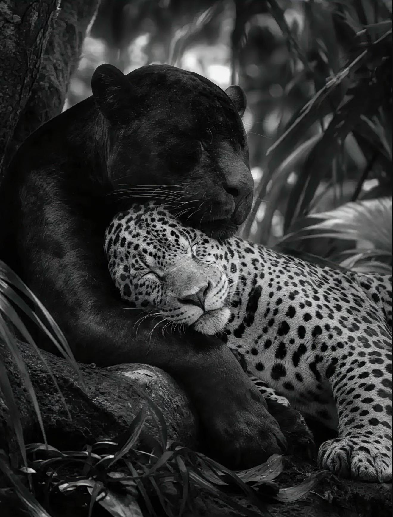 @𝓹𝓼𝔂𝓬𝓱𝓸𝓸_777