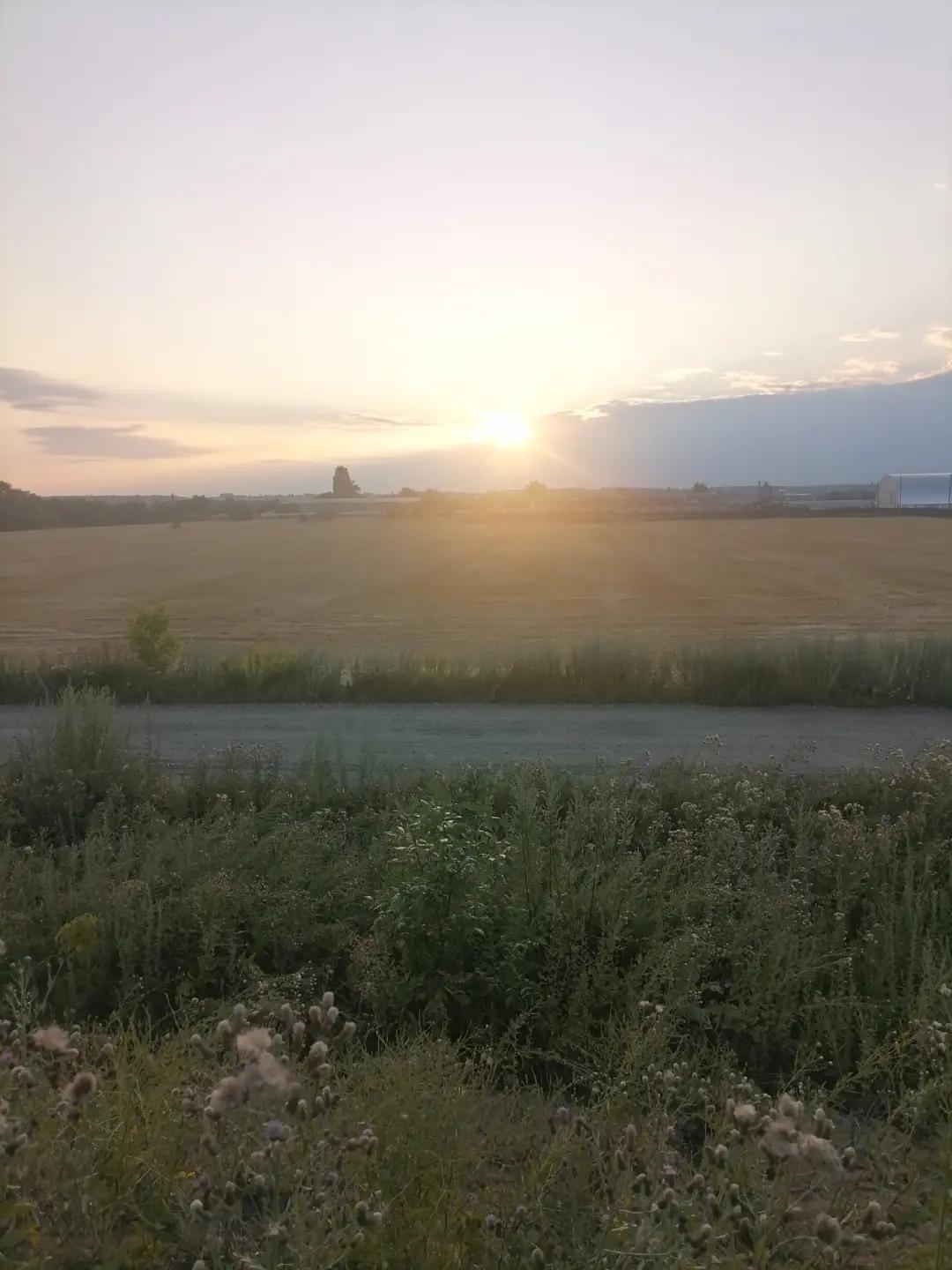 @Алехандро Регіс
