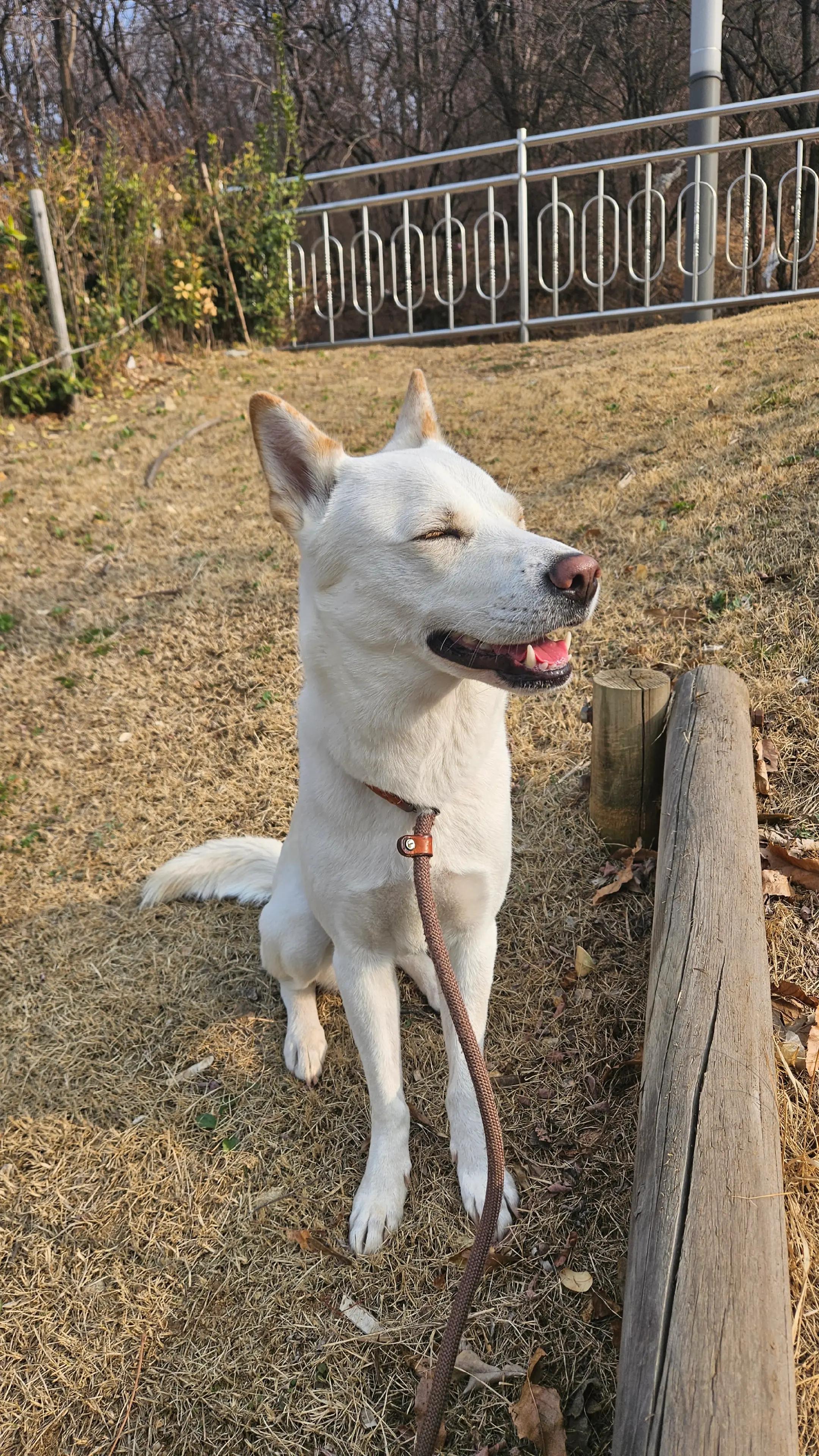 @상큼선이