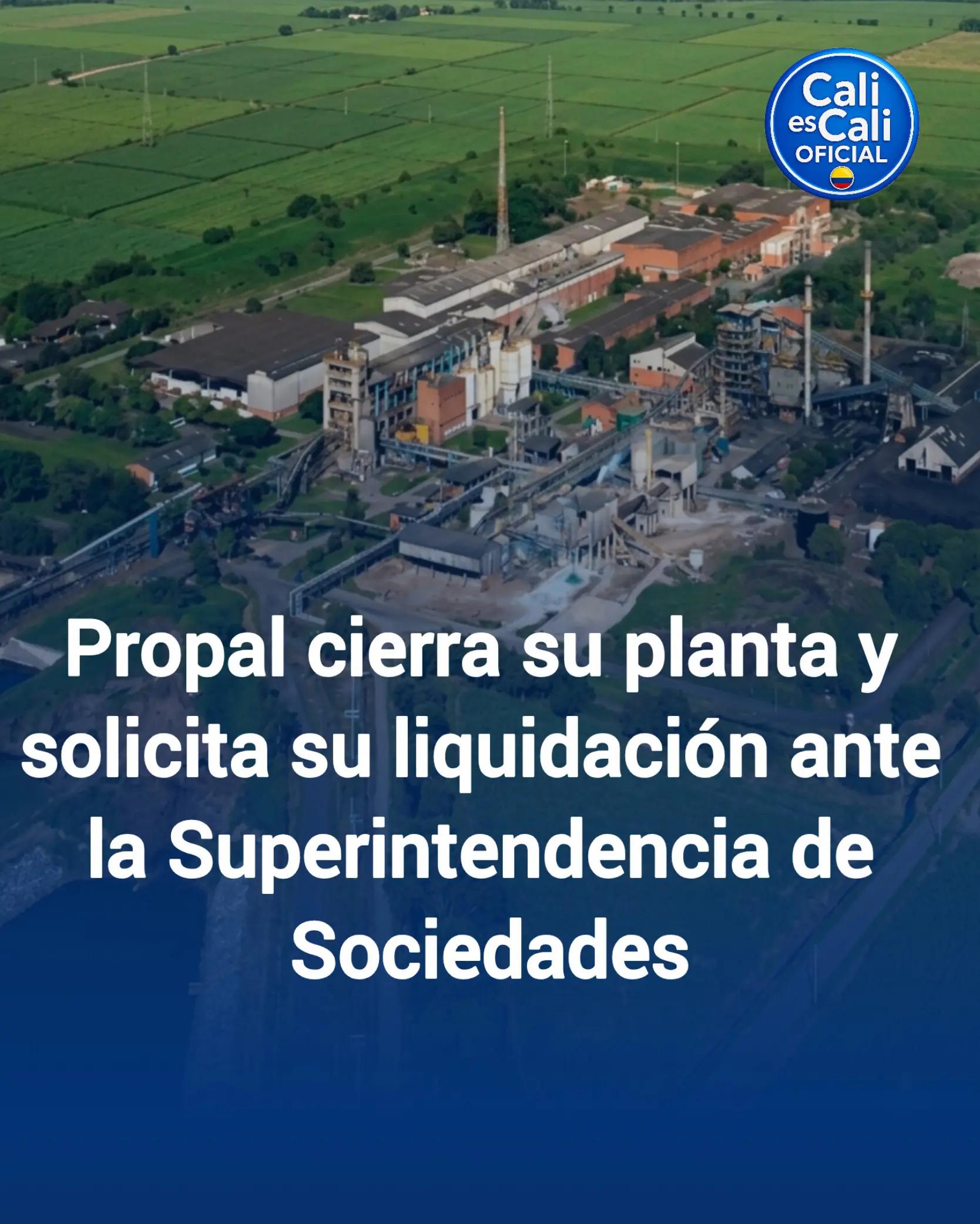 @Cali es Cali OFICIAL