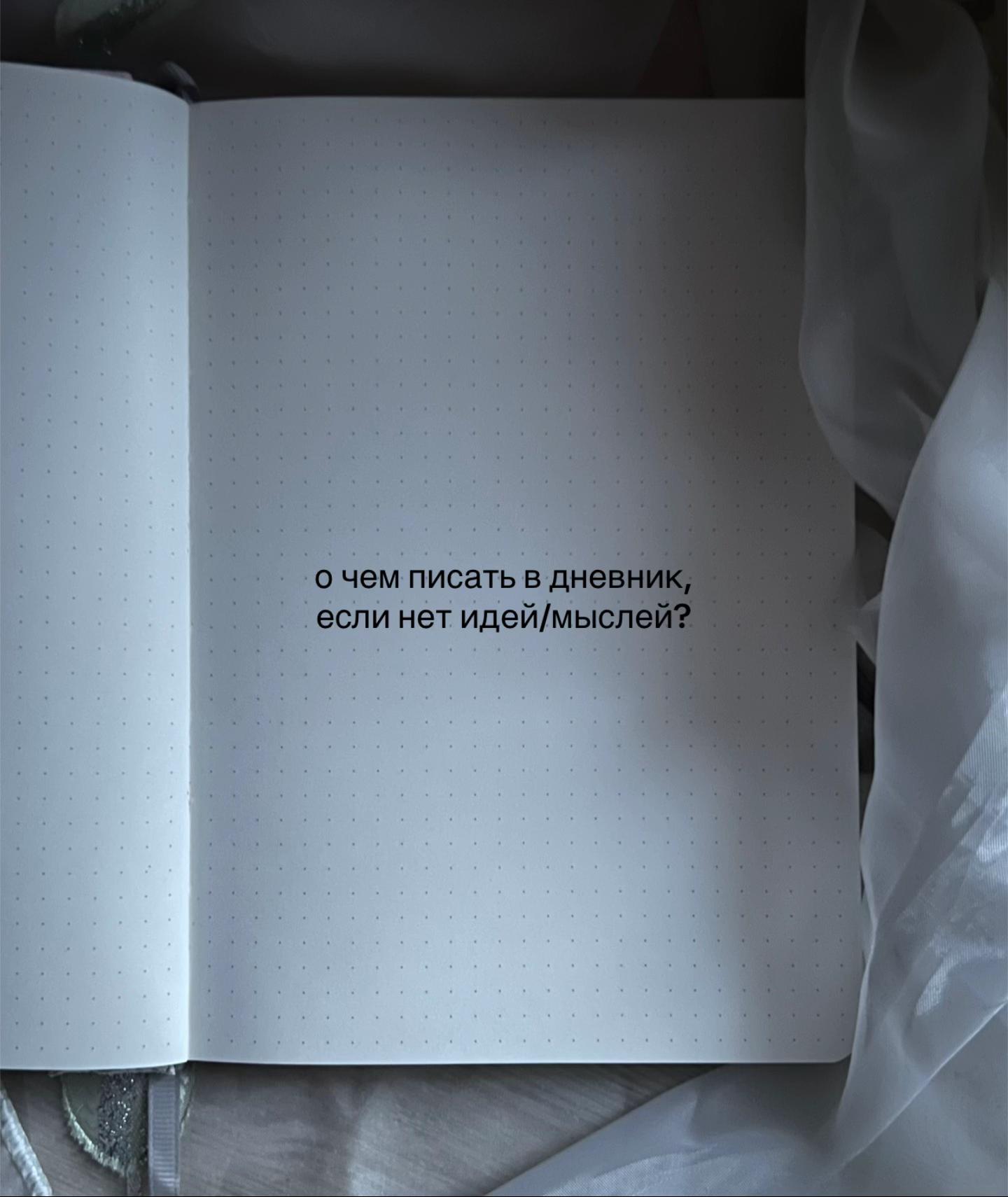 @шиншила.com