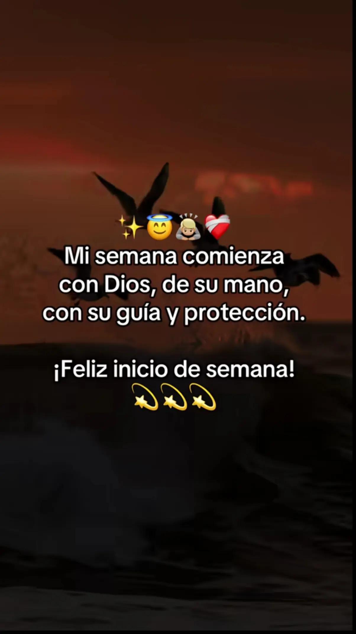 @🌻⚡♌