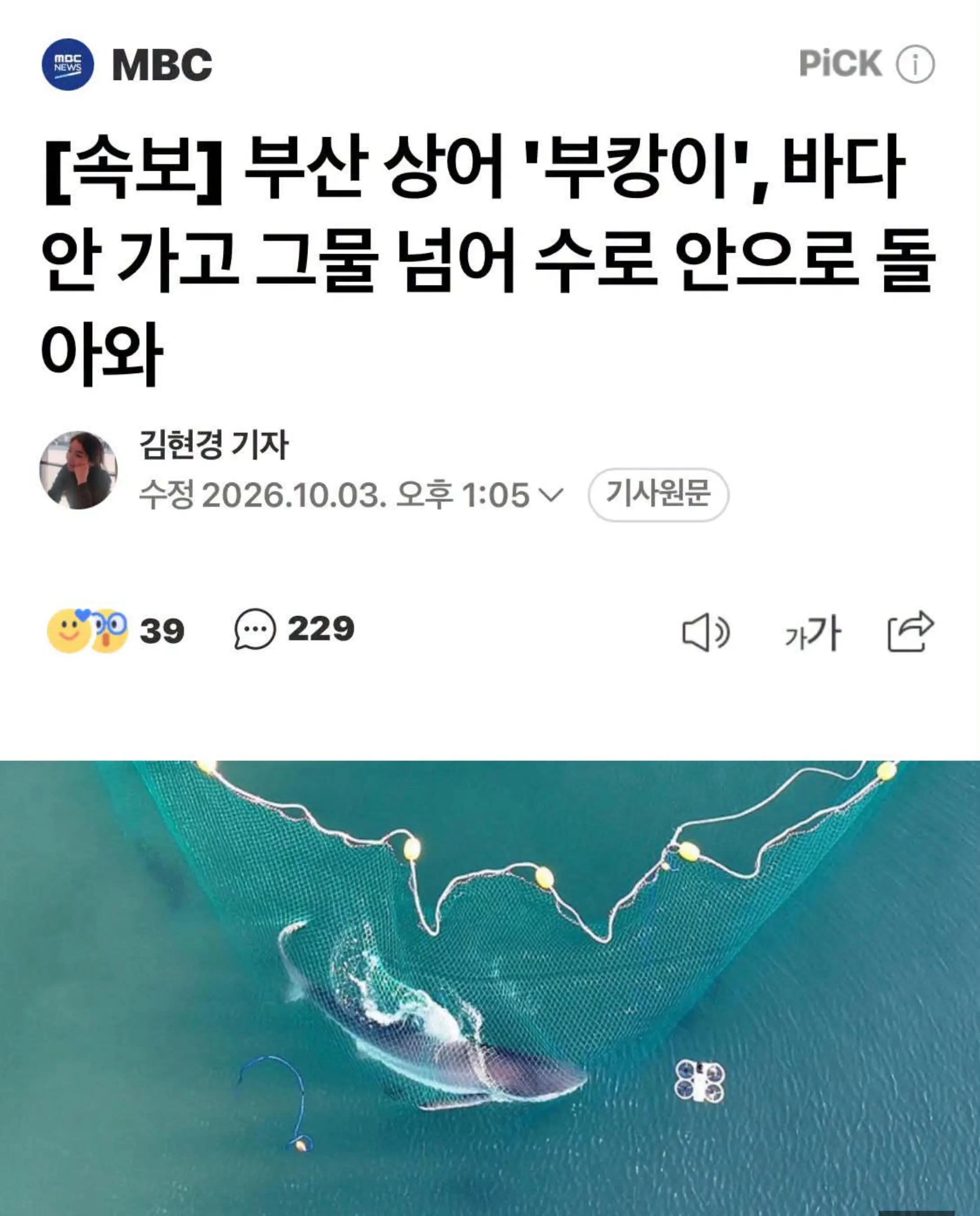 @캐스팅케이Casting K