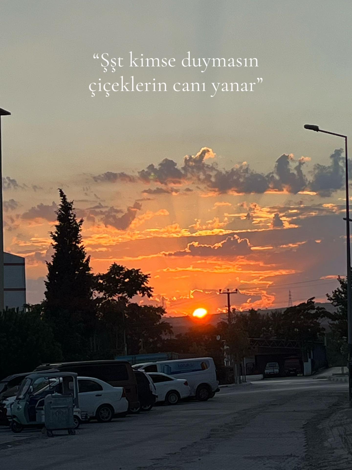 @Nova✶