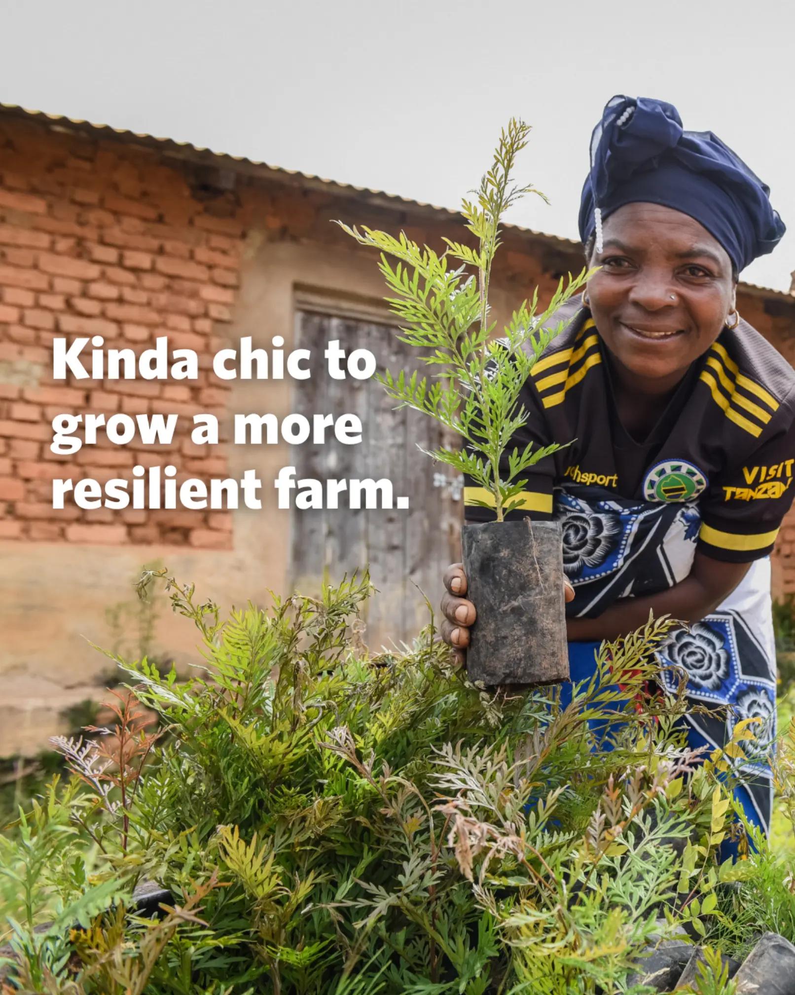 @OneAcreFund.org
