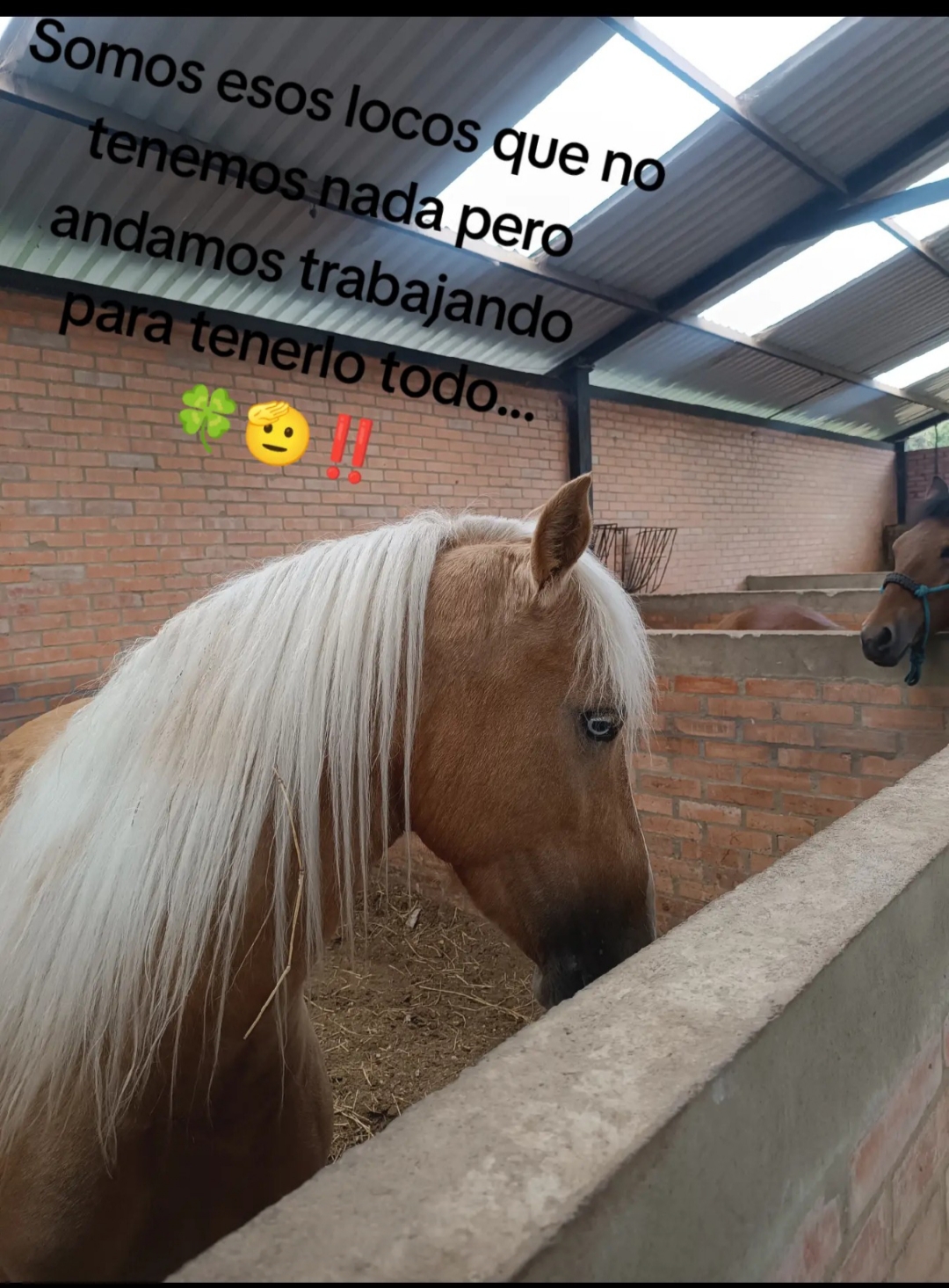 @Duvan Rodríguez Quiroga