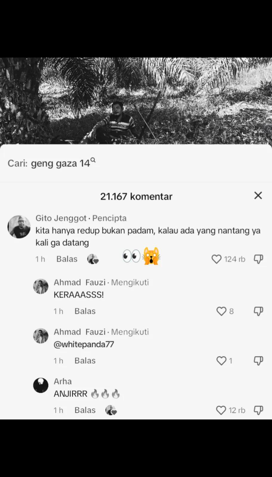 @kvet