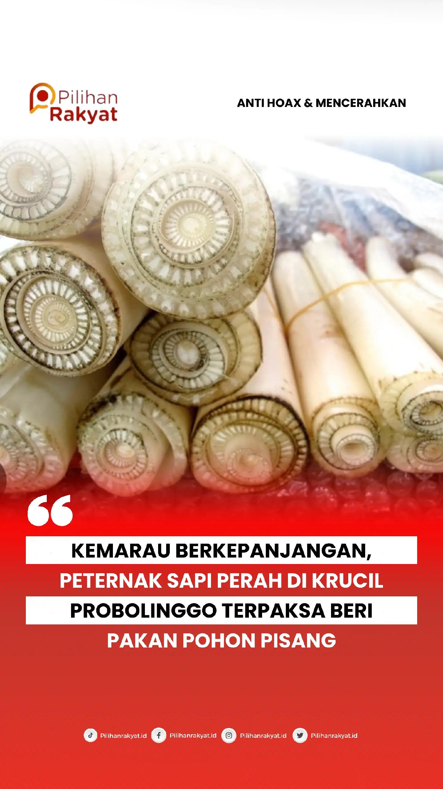 @PilihanRakyat.ID